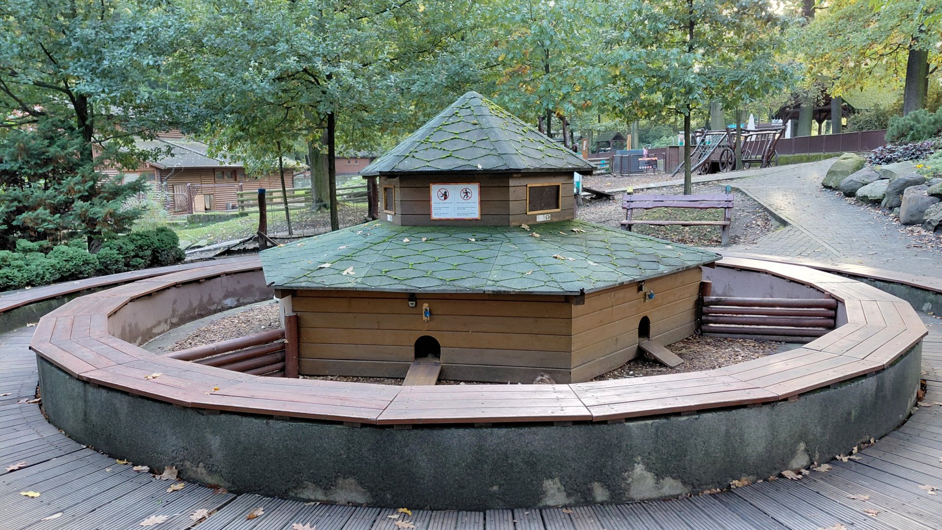 Domestic guinea pig exhibit