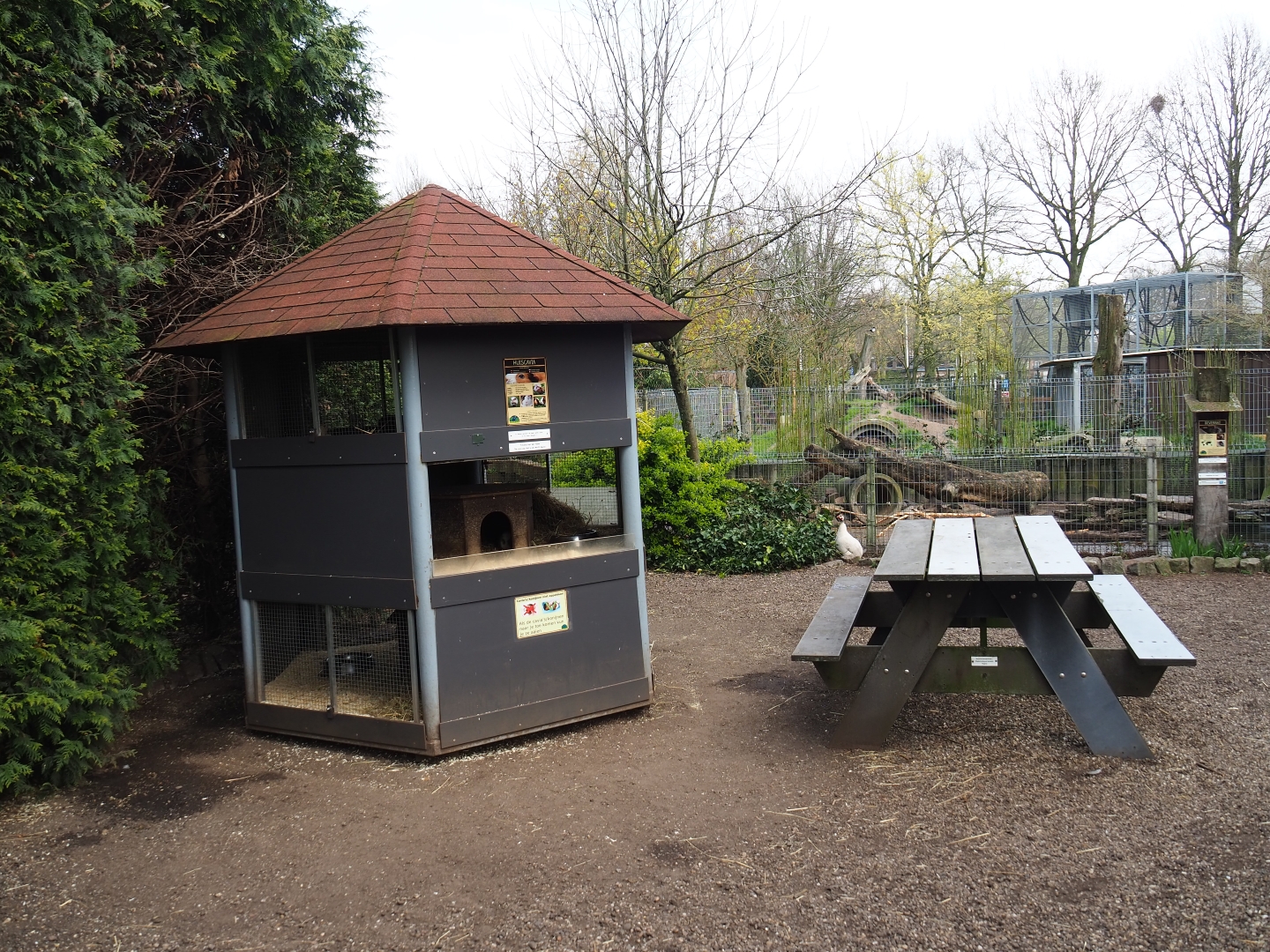 Domestic guinea pig housing tower and picnic area near the nutria exhibit, 2019-04-06