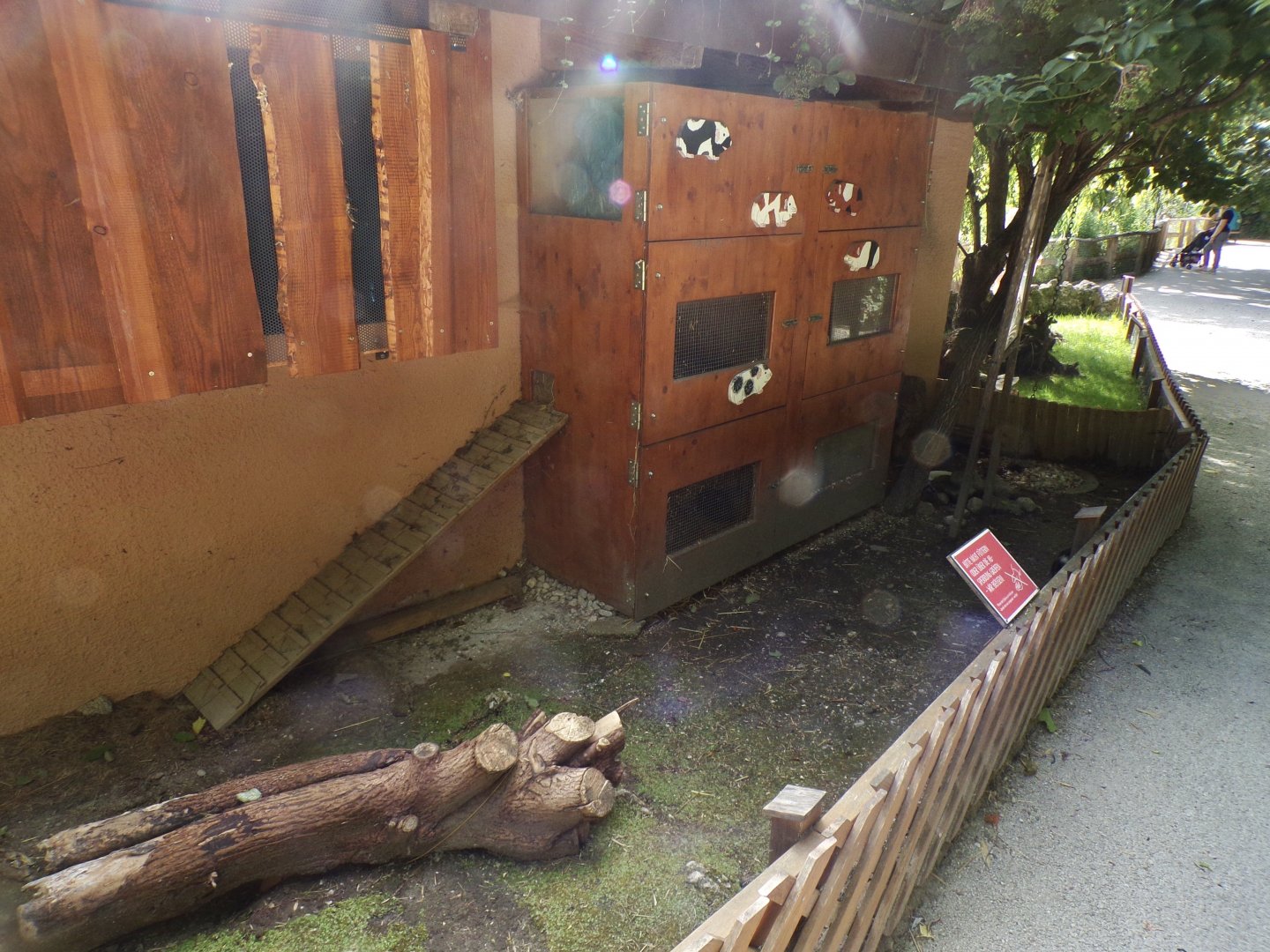 Domestic guniea pig enclosure 13.7.25