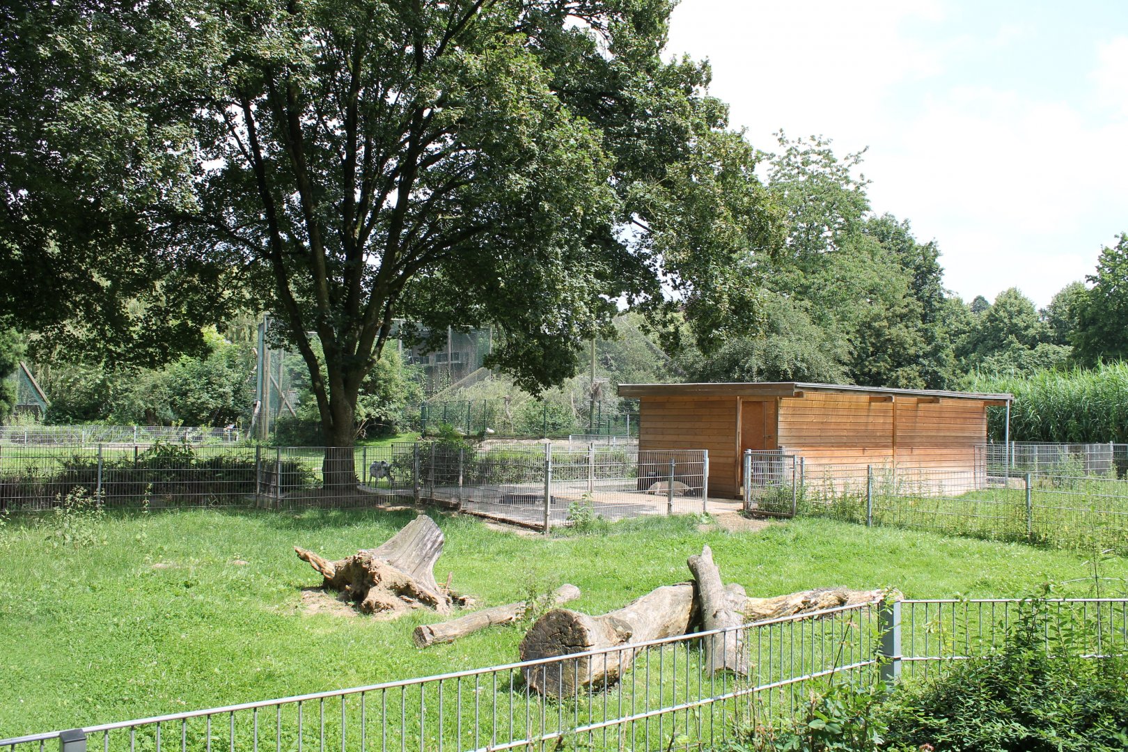 Domestic hoofstock-enclosure