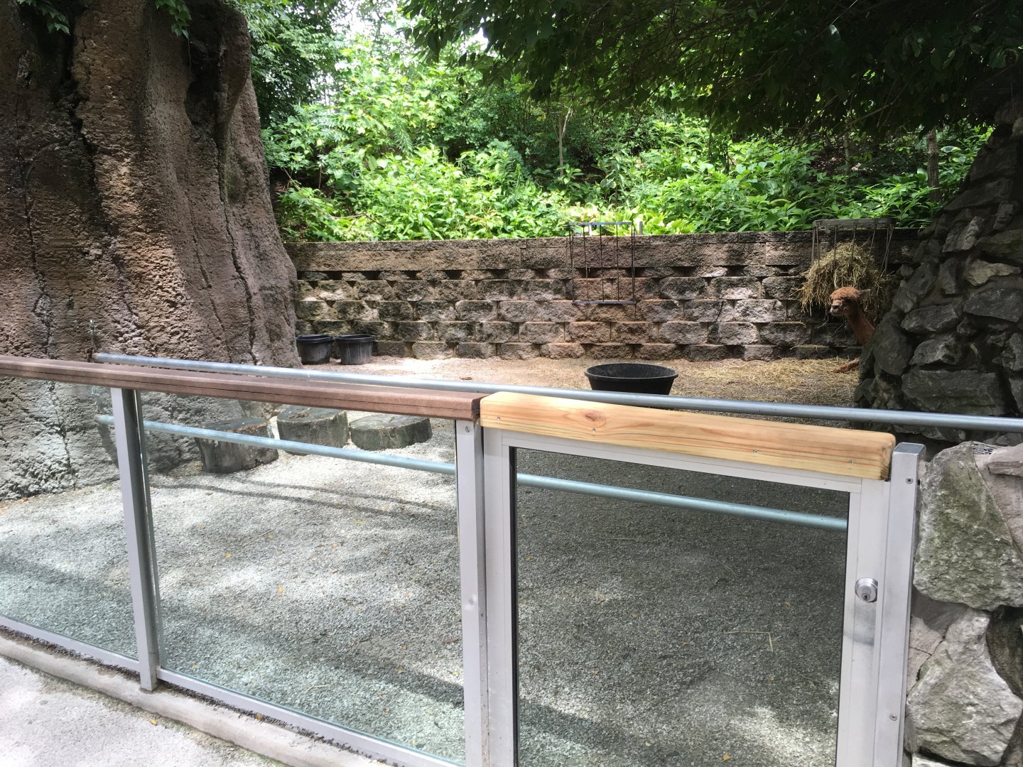 Domestic Hoofstock Enclosure