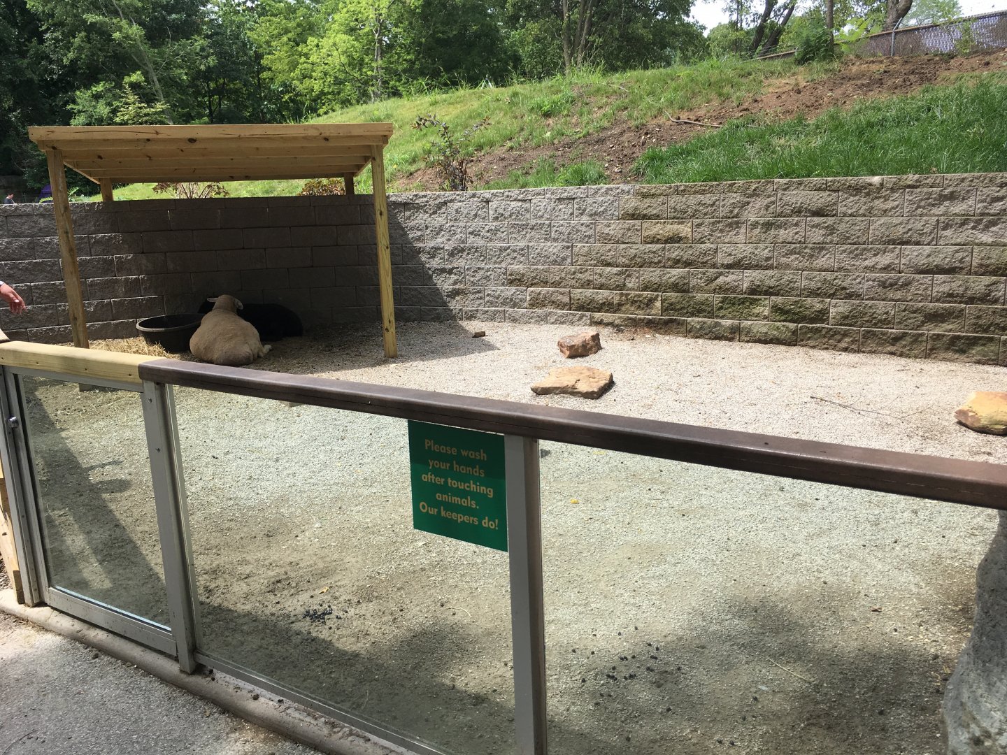 Domestic Hoofstock Enclosure