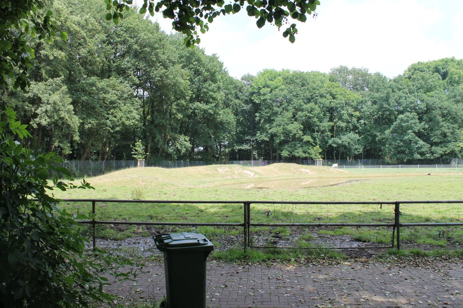 Domestic hoofstock-enclosure