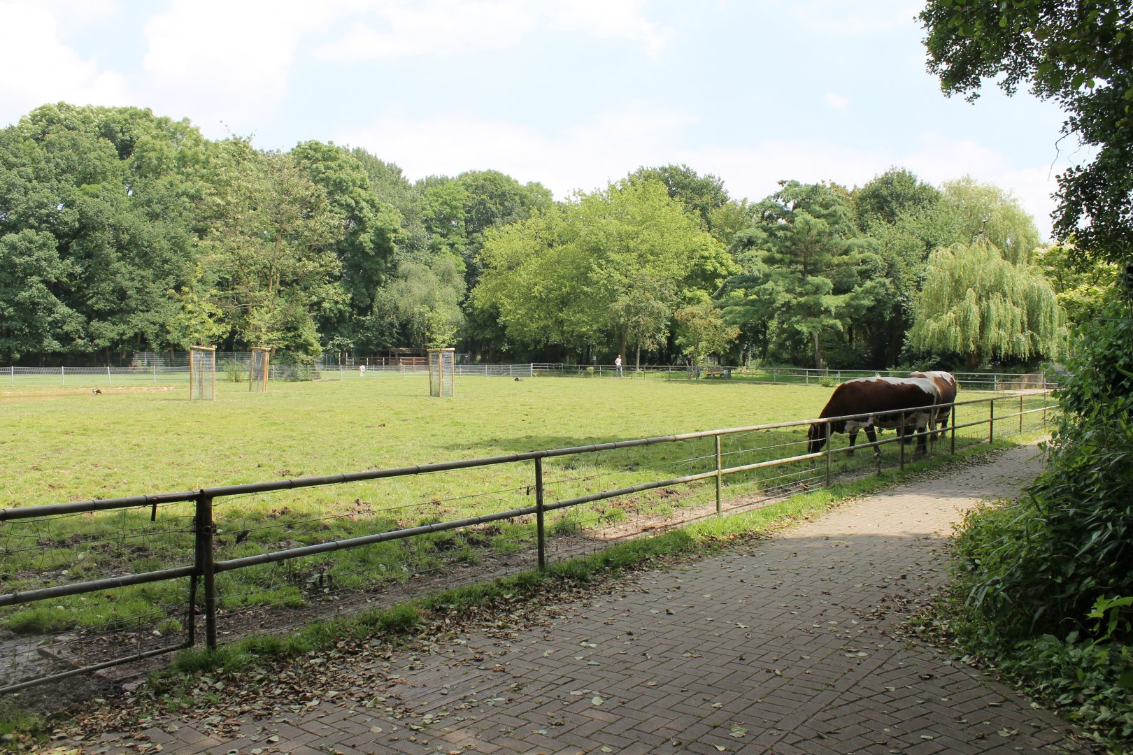 Domestic hoofstock-enclosure