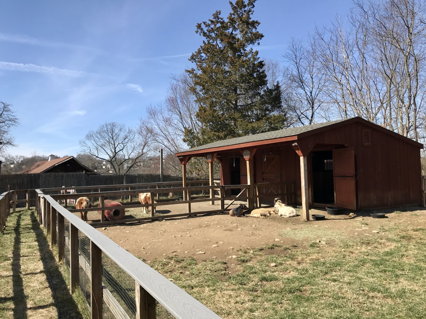 Domestic Horse and Goat Exhibits