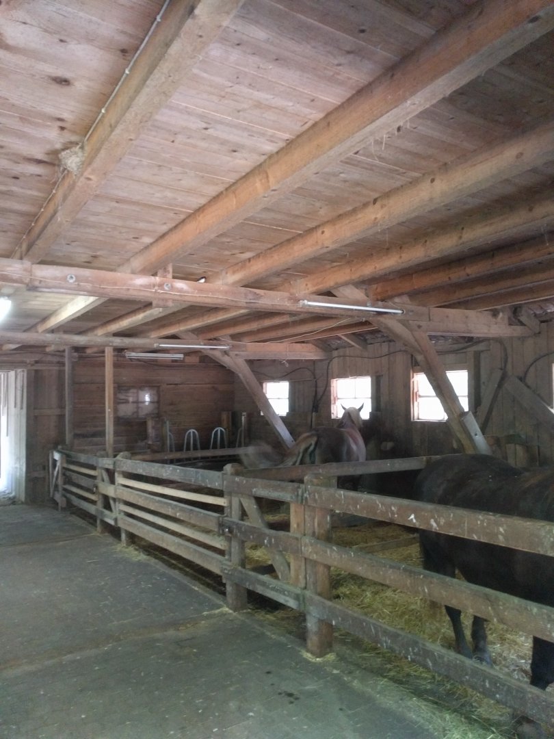 Domestic Horse barn