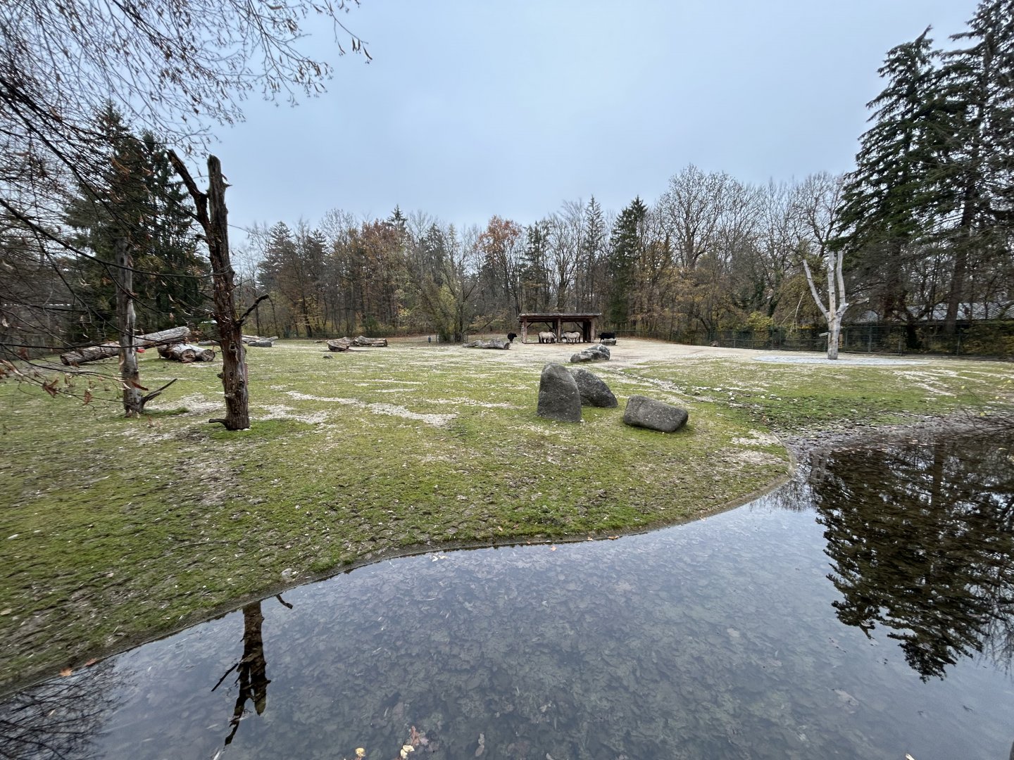 Domestic Horse & Cattle Exhibit