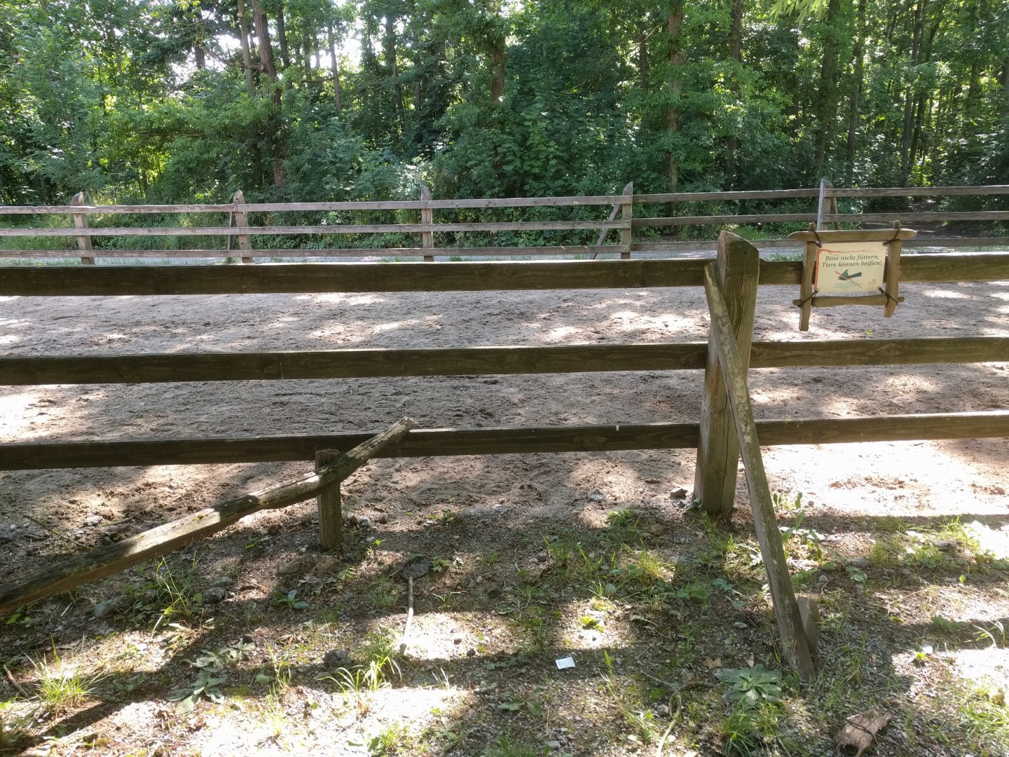 Domestic Horse Enclosure