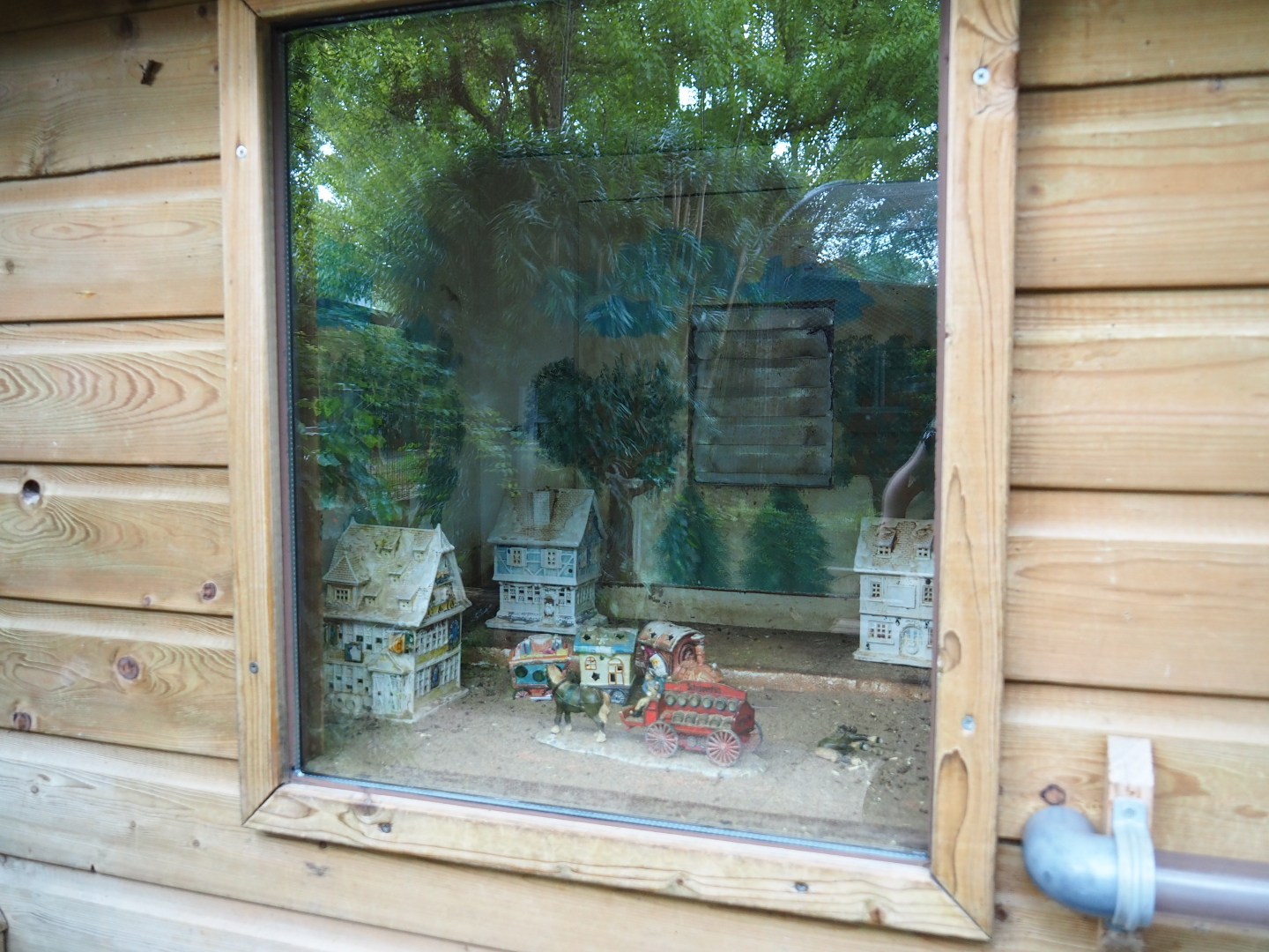 Domestic mouse exhibit, 2019-05-25