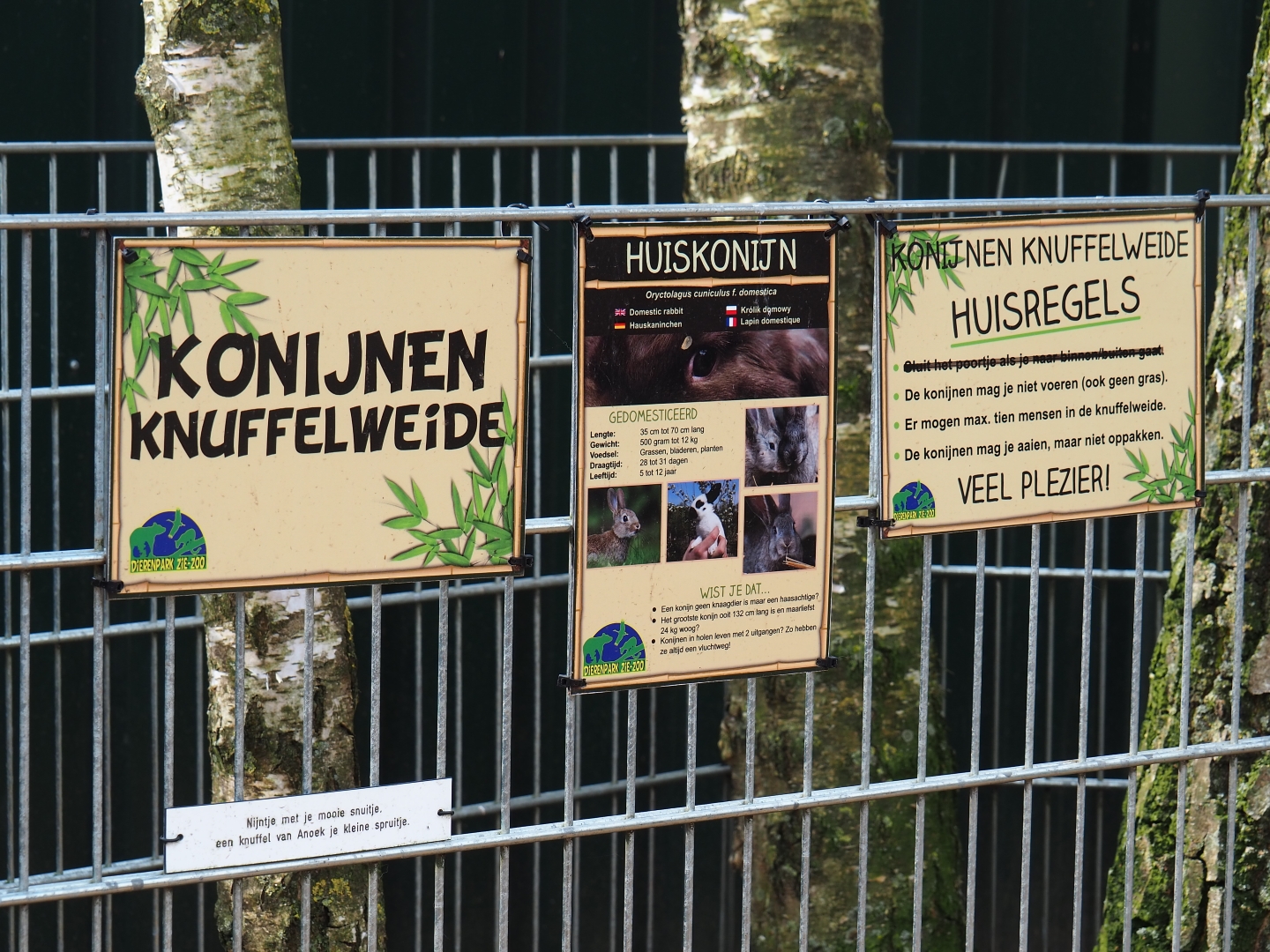 Domestic rabbit and guinea pig petting pen rules signs, 2019-04-06