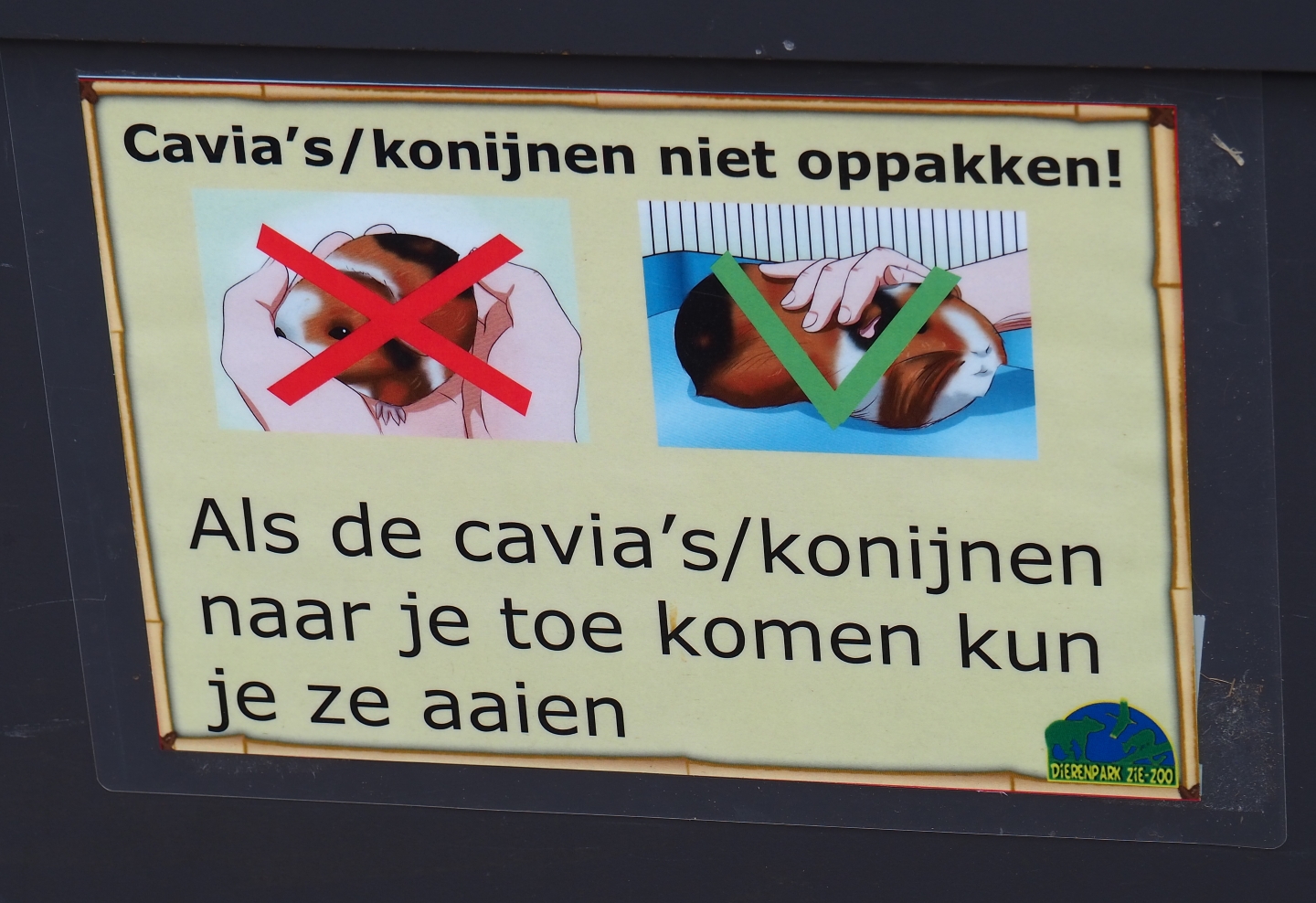 Domestic rabbit and guinea pig touching rules sign, 2019-04-06