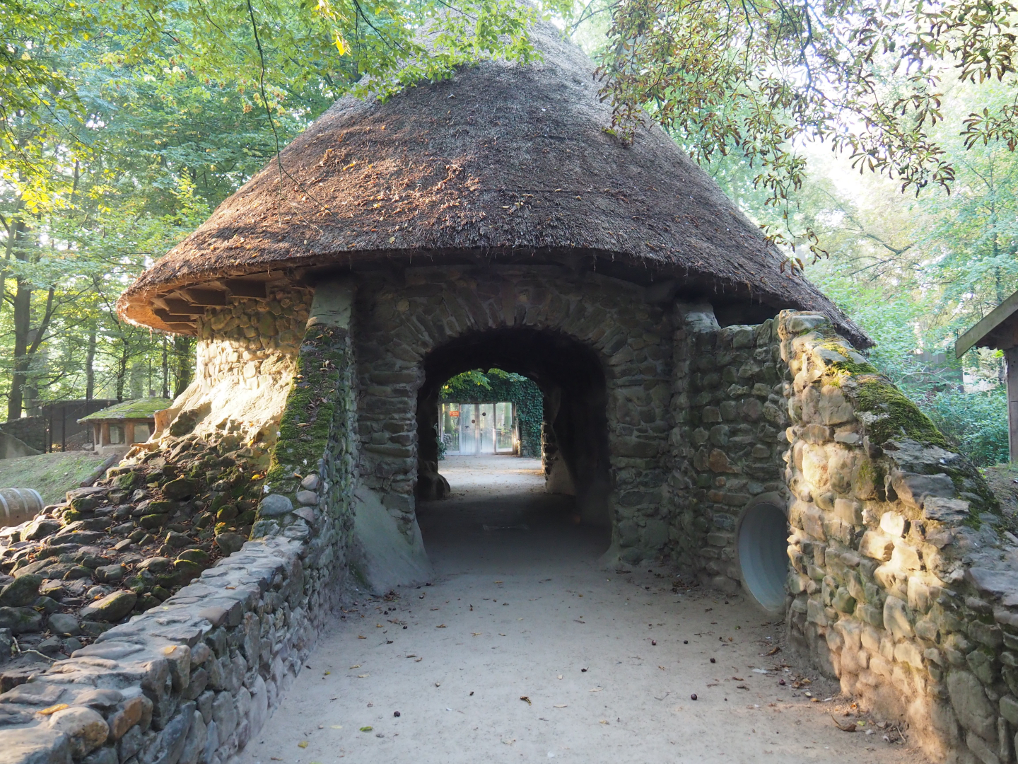 Domestic rabbit and raccoon den building, 2020-09-16