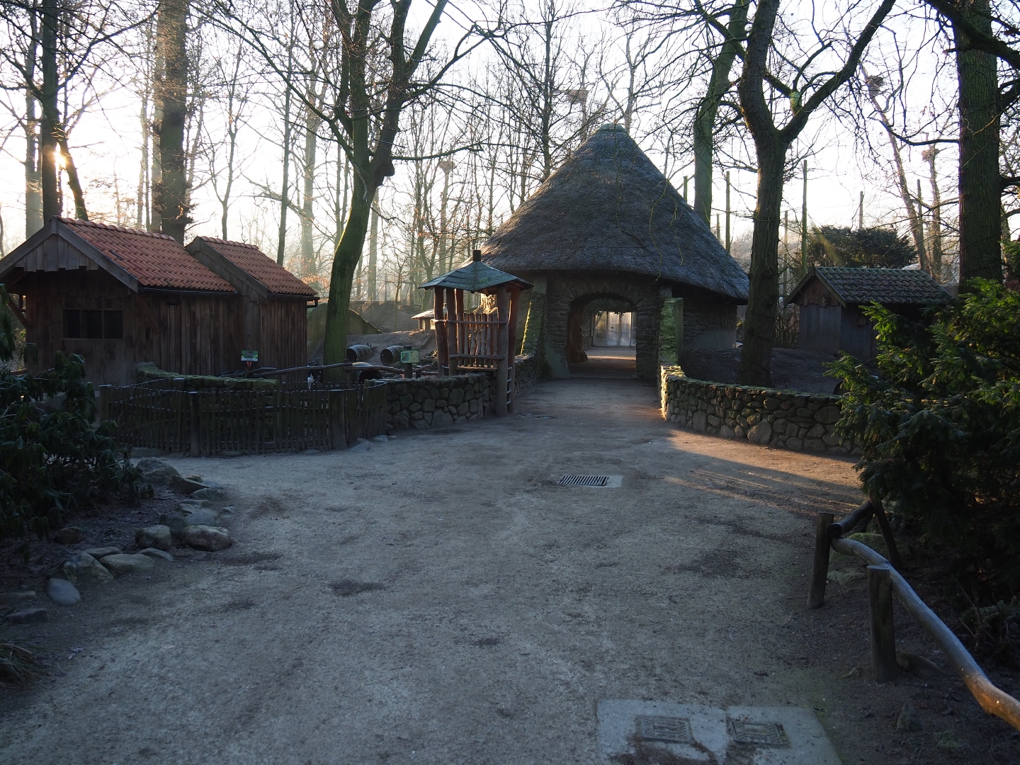 Domestic rabbit and raccoon exhibits (Jan 20th, 2019)