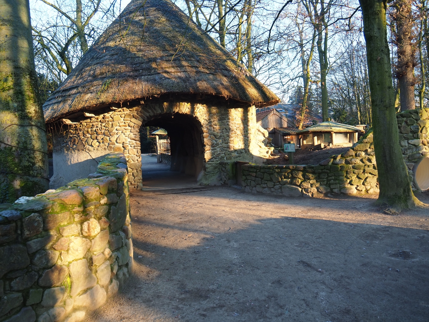 Domestic rabbit and raccoon exhibits (Jan 20th, 2019)