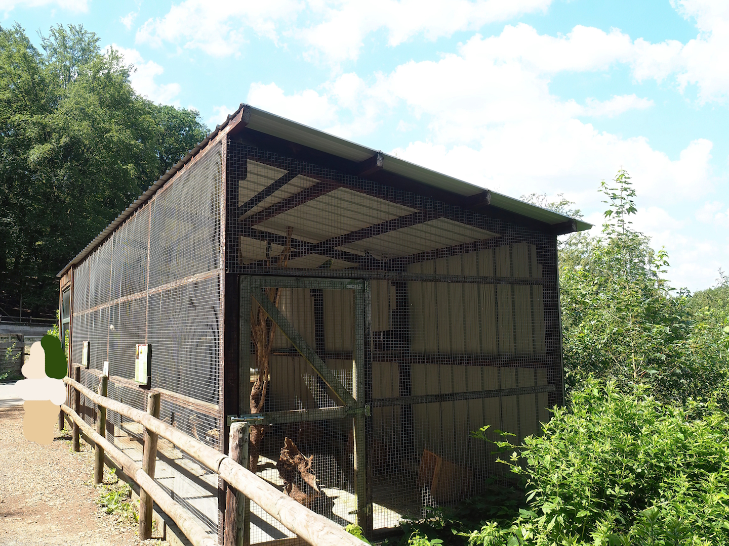 Domestic rabbit, Domestic guinea pig, Lovebird, Cockatiel and Conure aviary, 2023-06-24