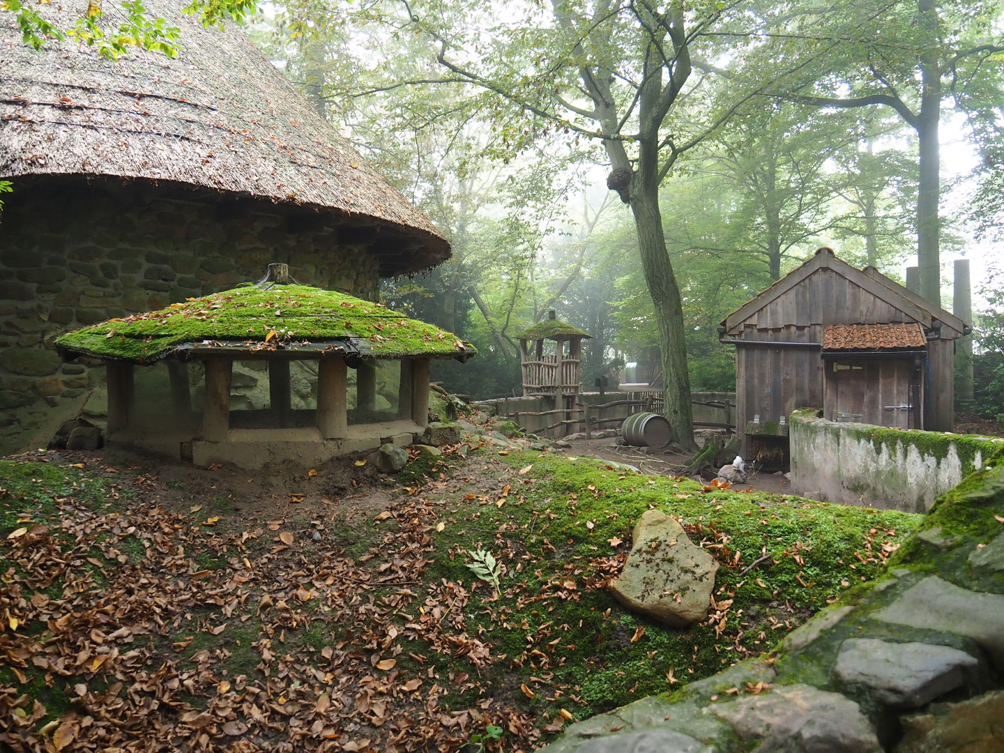 Domestic rabbit exhibit, 2021-10-10