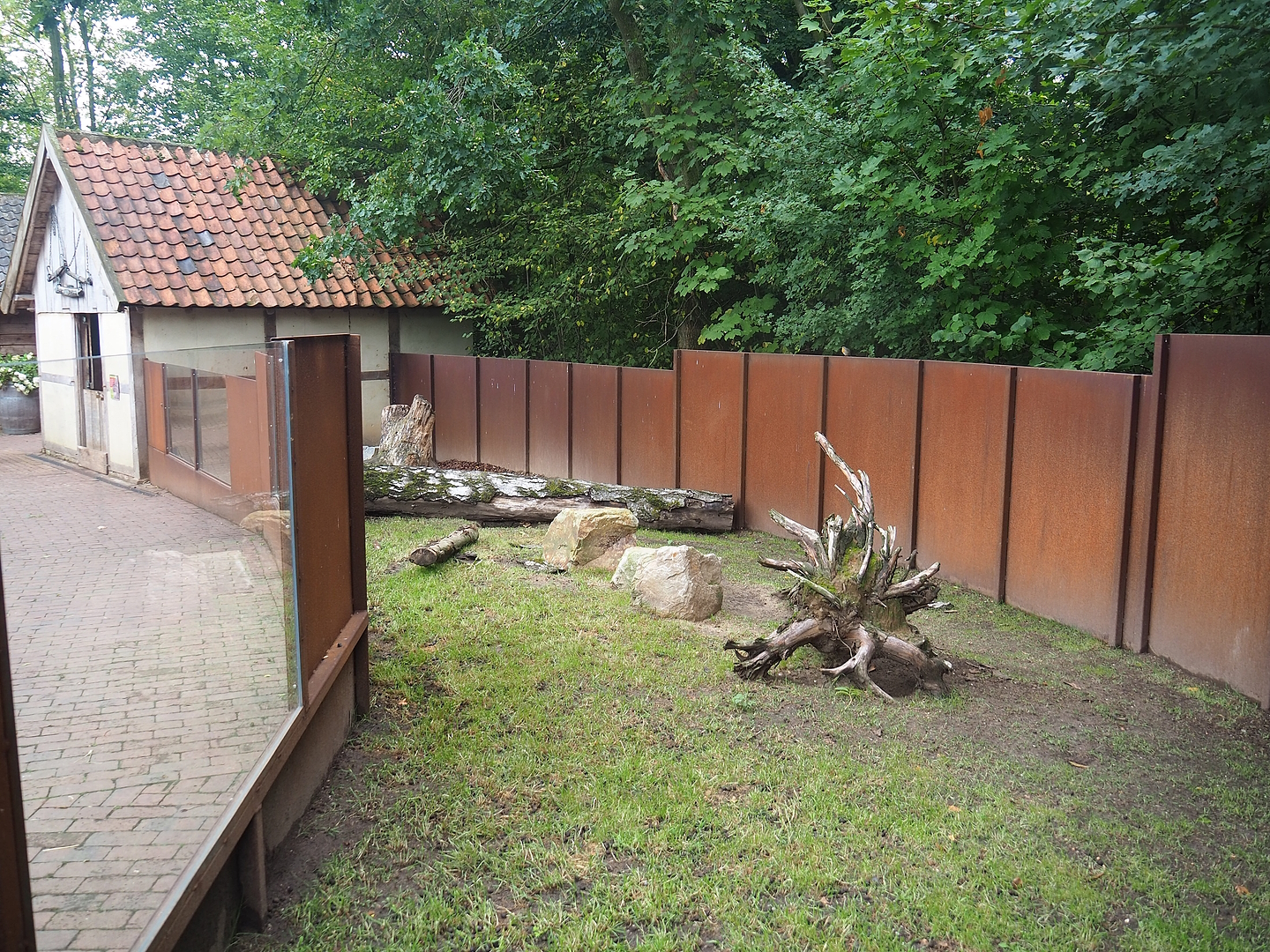 Domestic rabbit exhibit, 2022-08-20