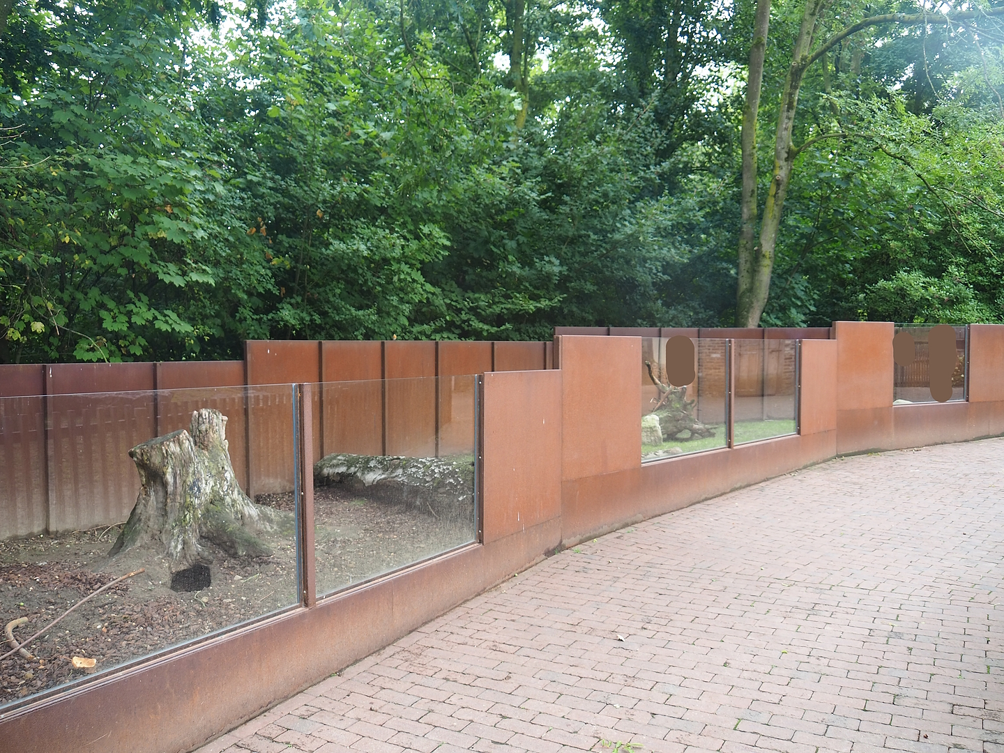 Domestic rabbit exhibit, 2022-08-20