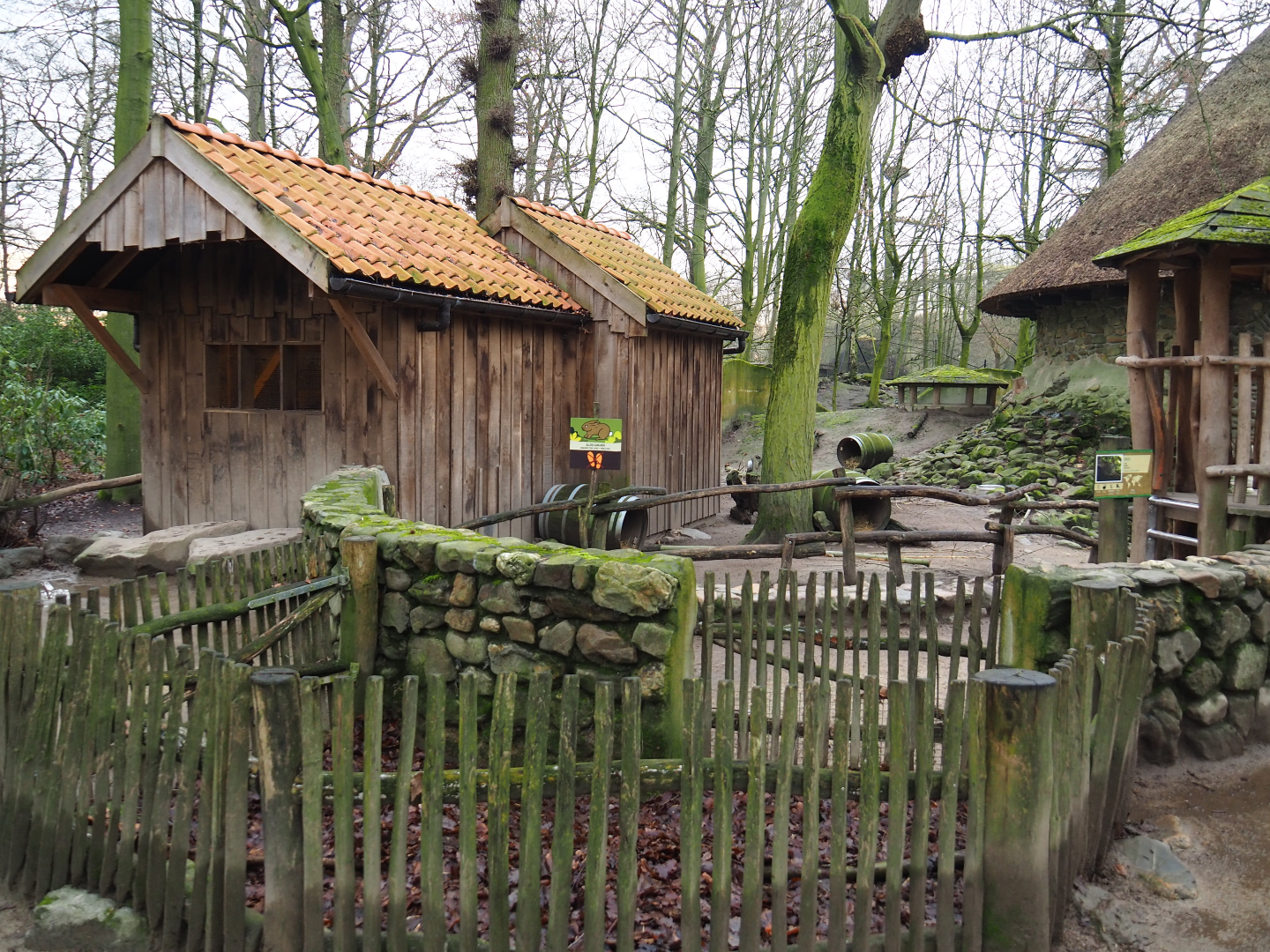 Domestic rabbit exhibit and barn, 2020-01-11