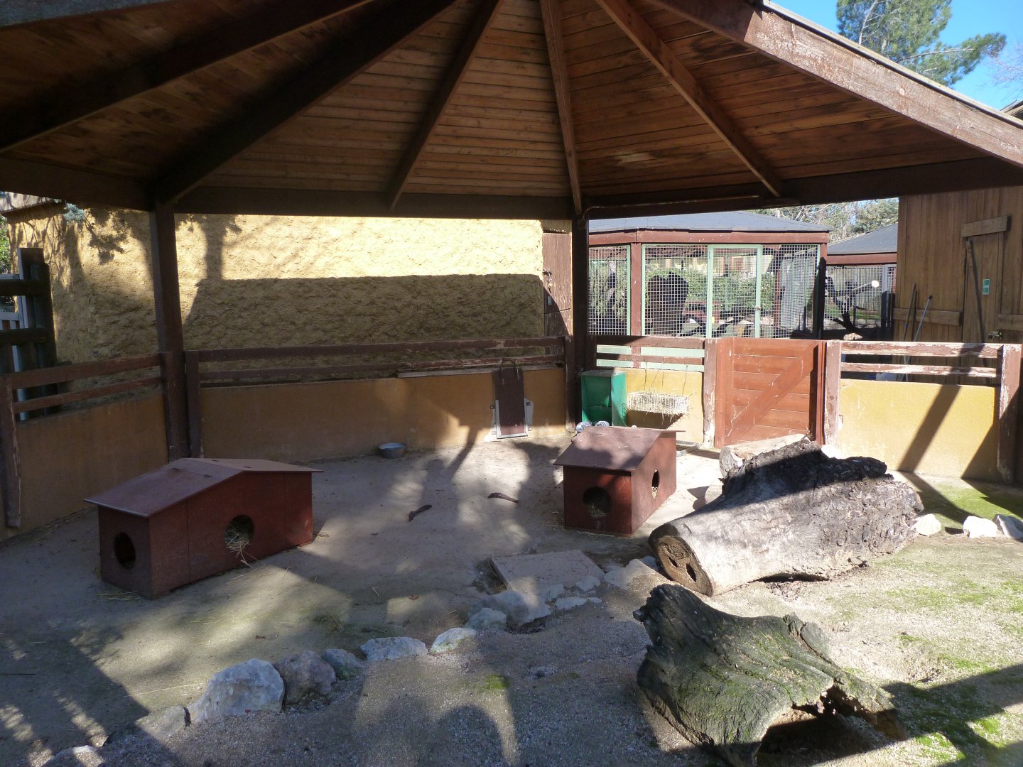 Domestic rabbit exhibit -Zoo Aquarium de Madrid (2025)