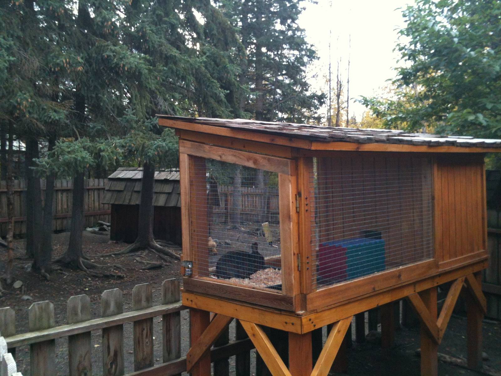 Domestic Rabbit Exhibit