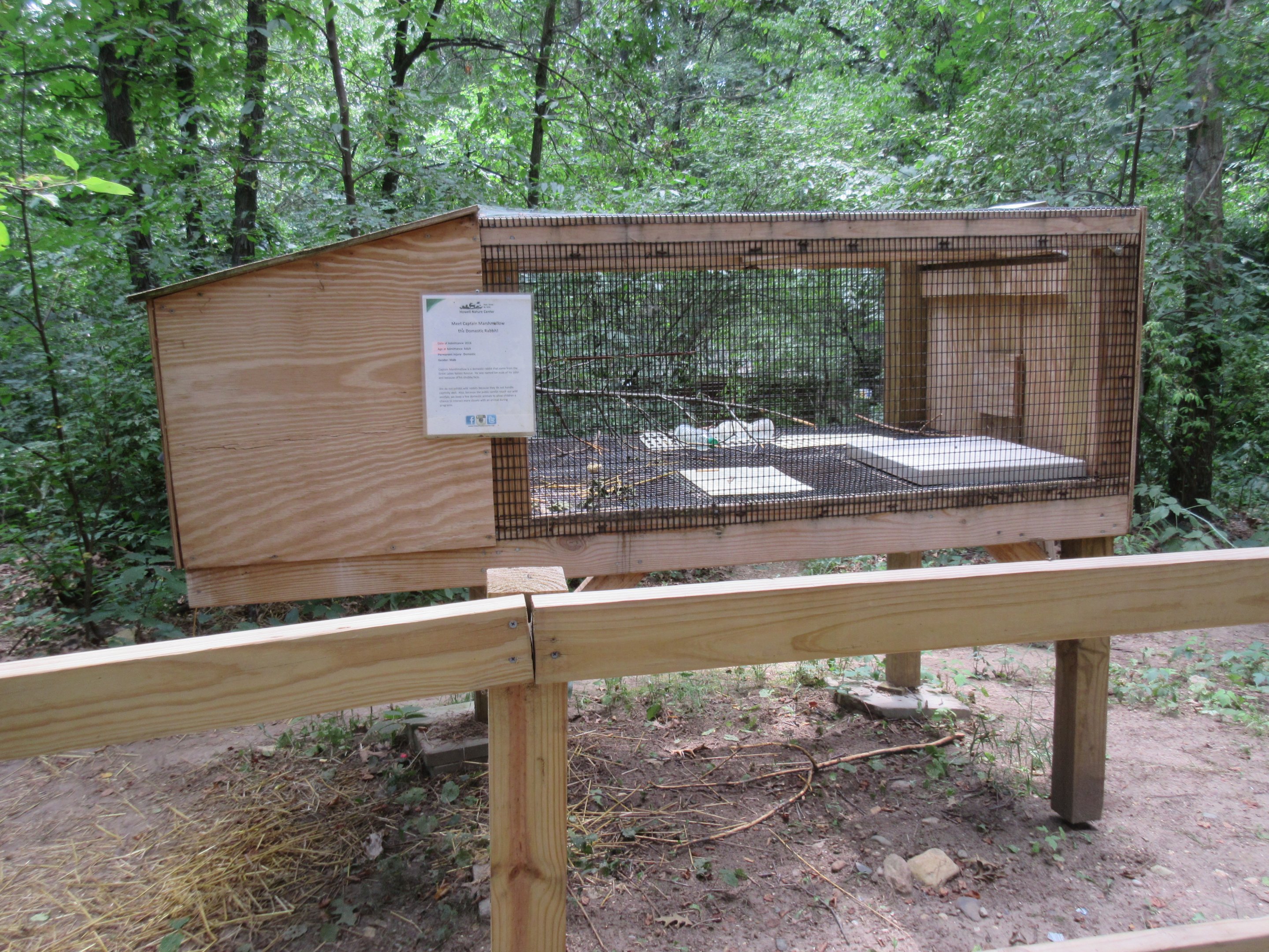 Domestic Rabbit Exhibit
