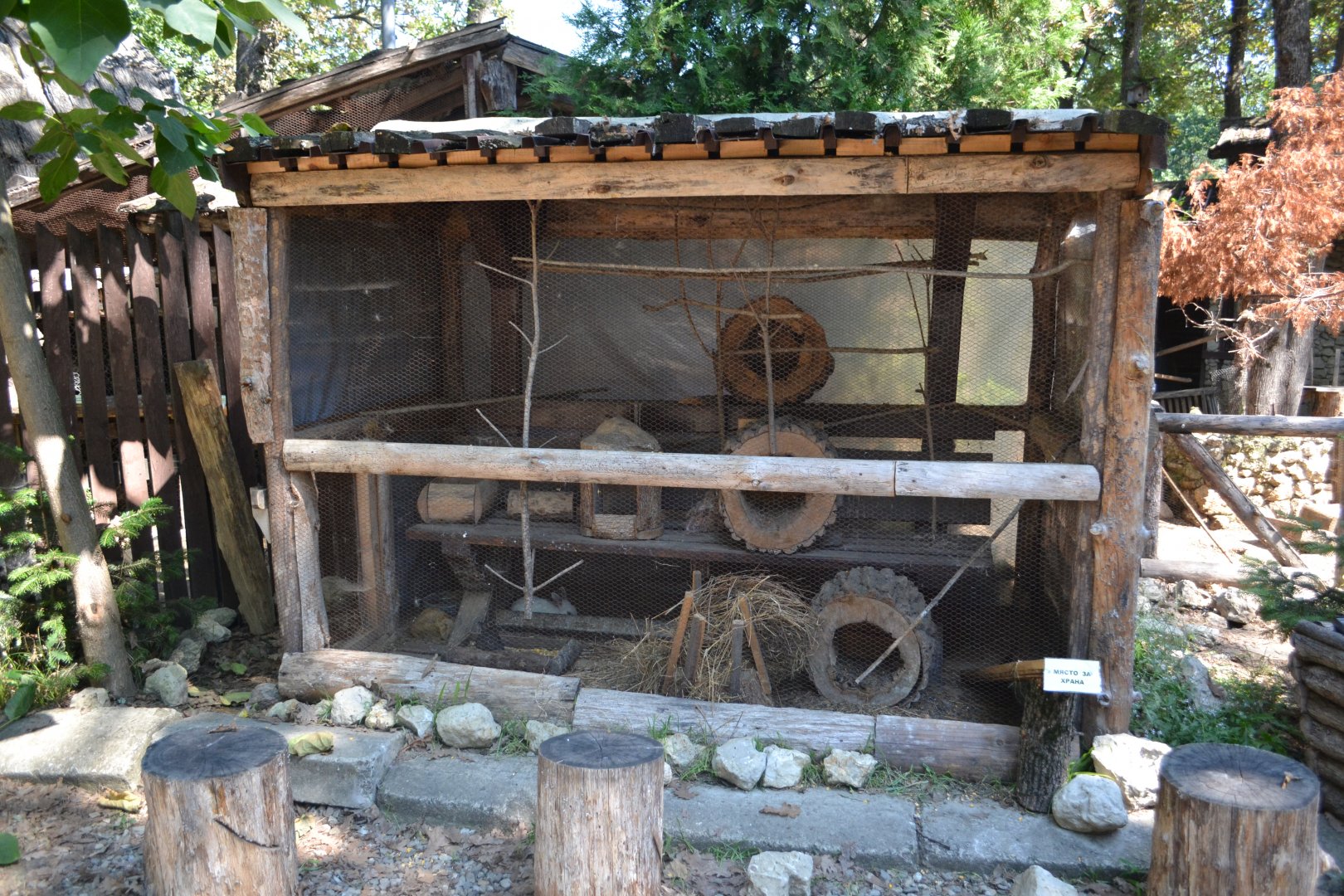 Domestic rabbit exhibit