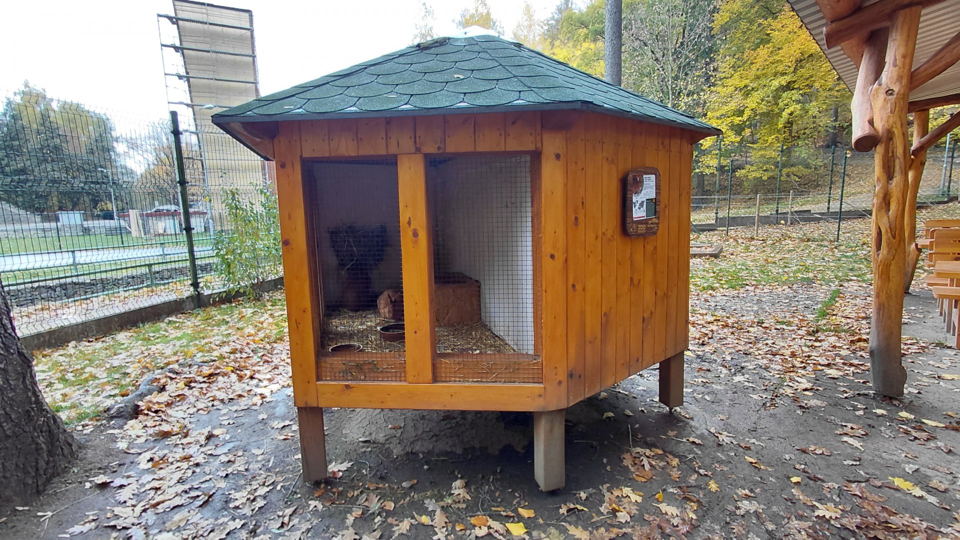 Domestic rabbit exhibit