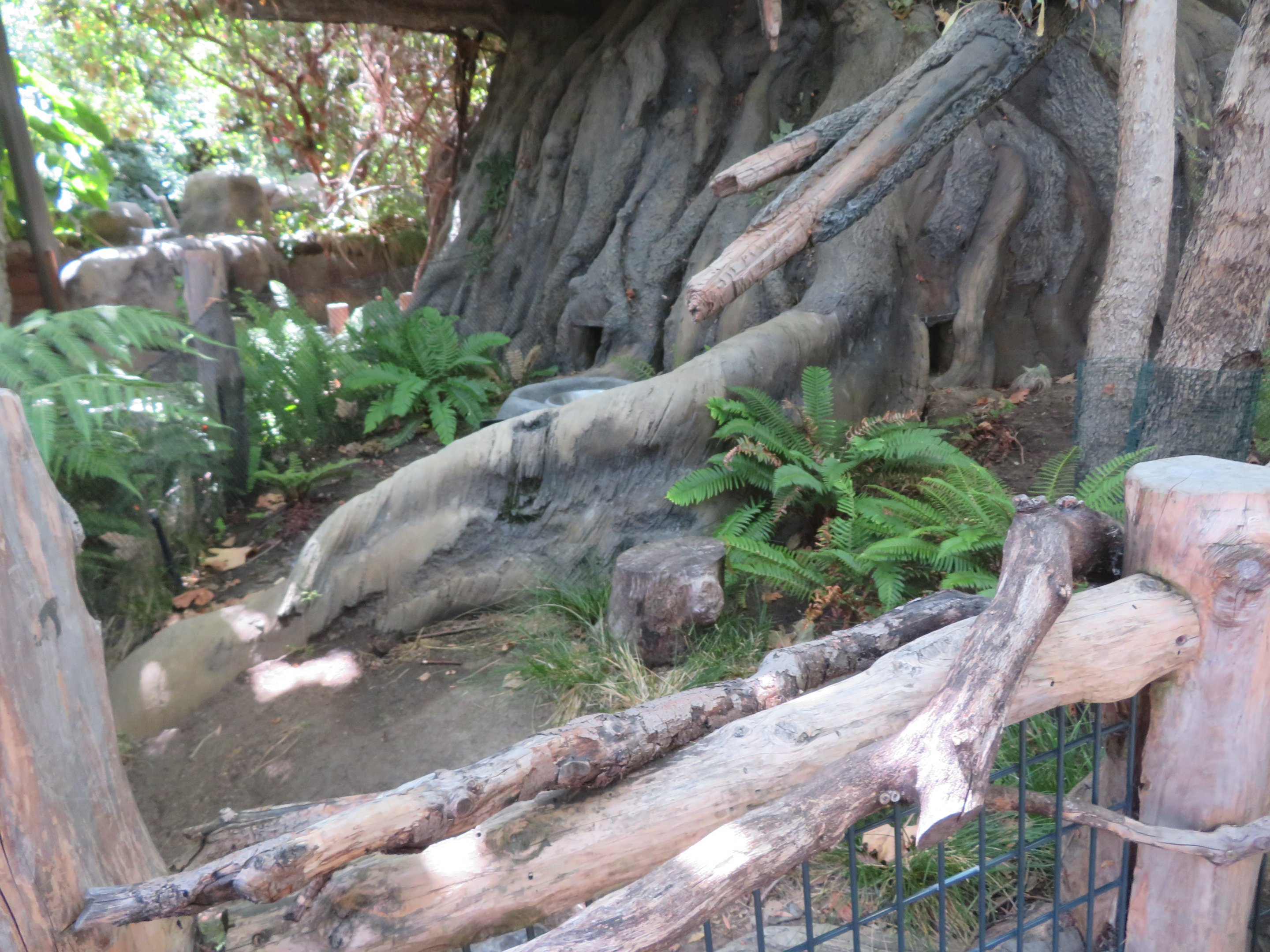 Domestic Rabbit Exhibit