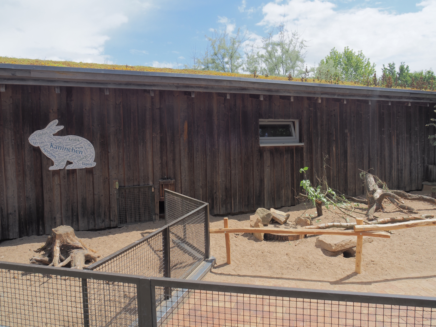 Domestic rabbit pen with walk-through area, 2025-05-22