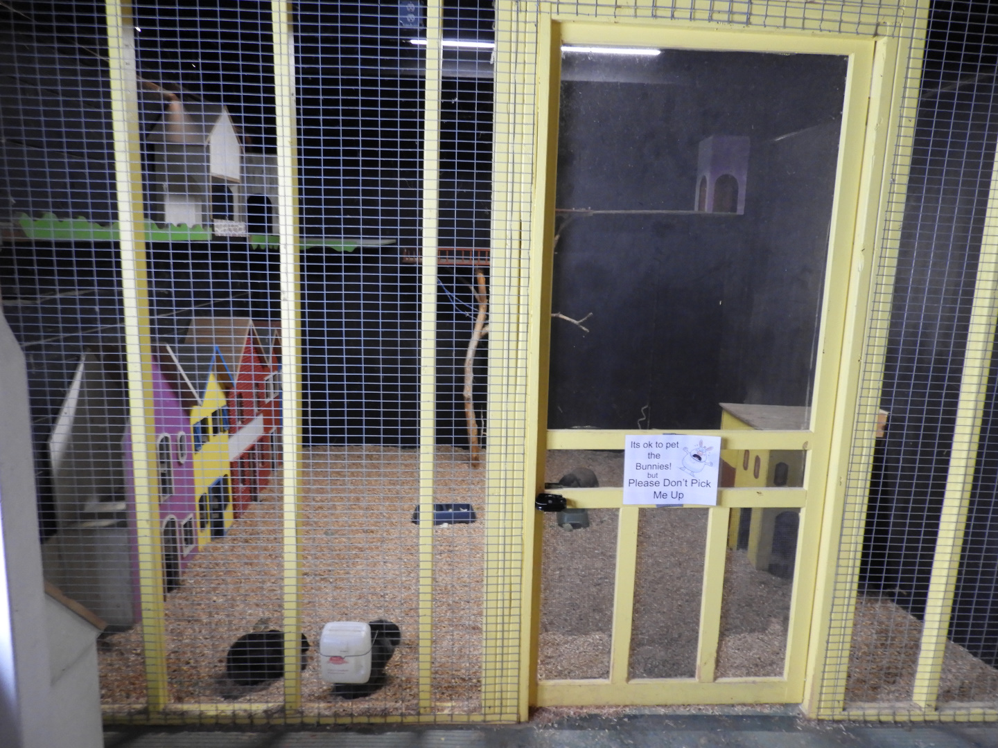 Domestic Rabbit walk-through - Baby Barn - Animal Gardens Petting Zoo