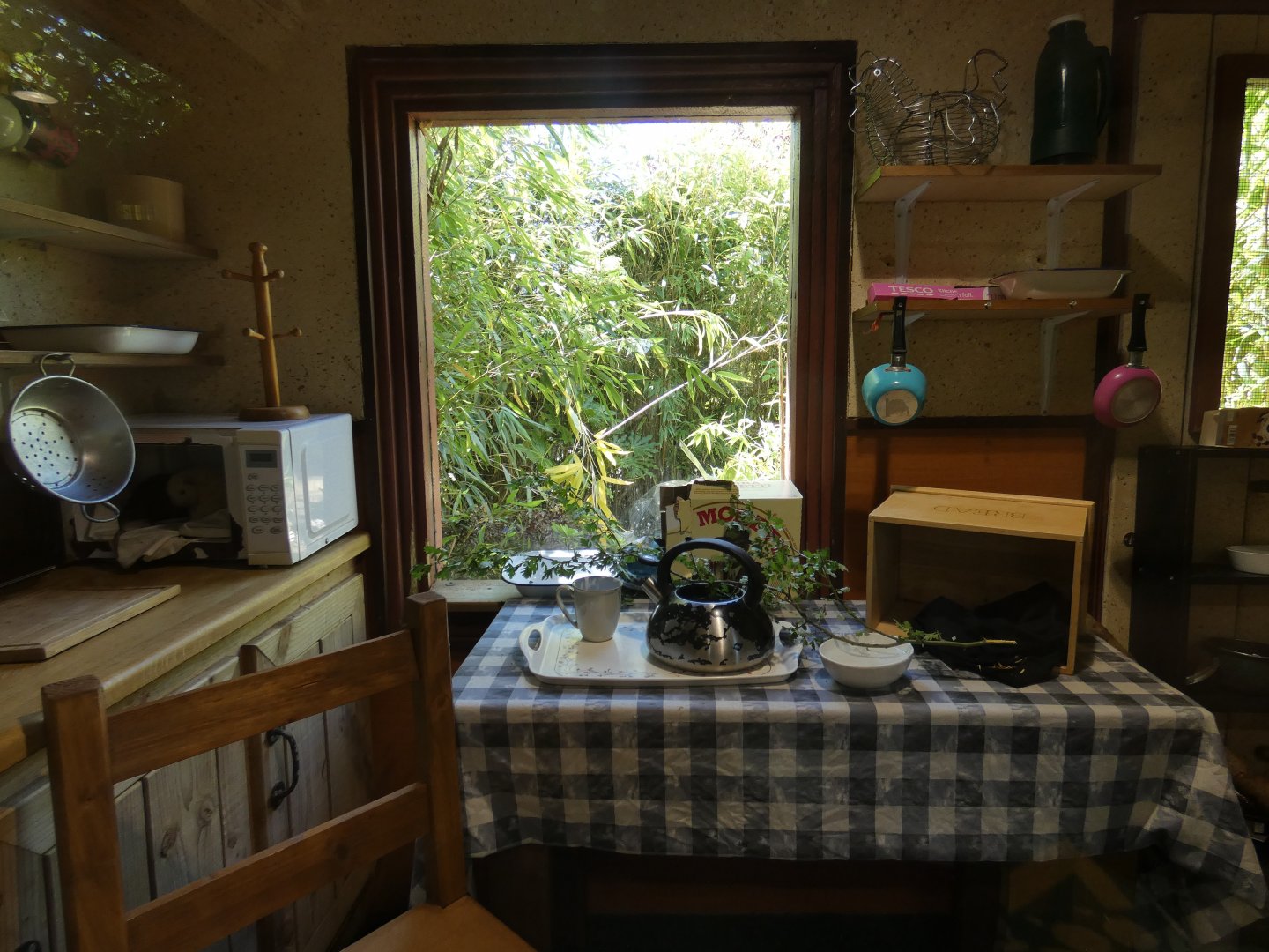 Domestic Rat enclosure