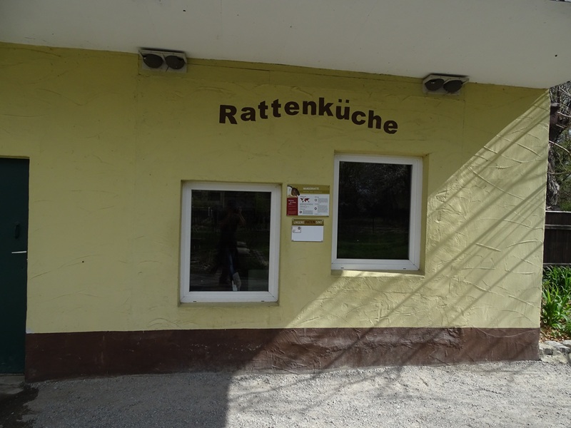 Domestic rat enclosure