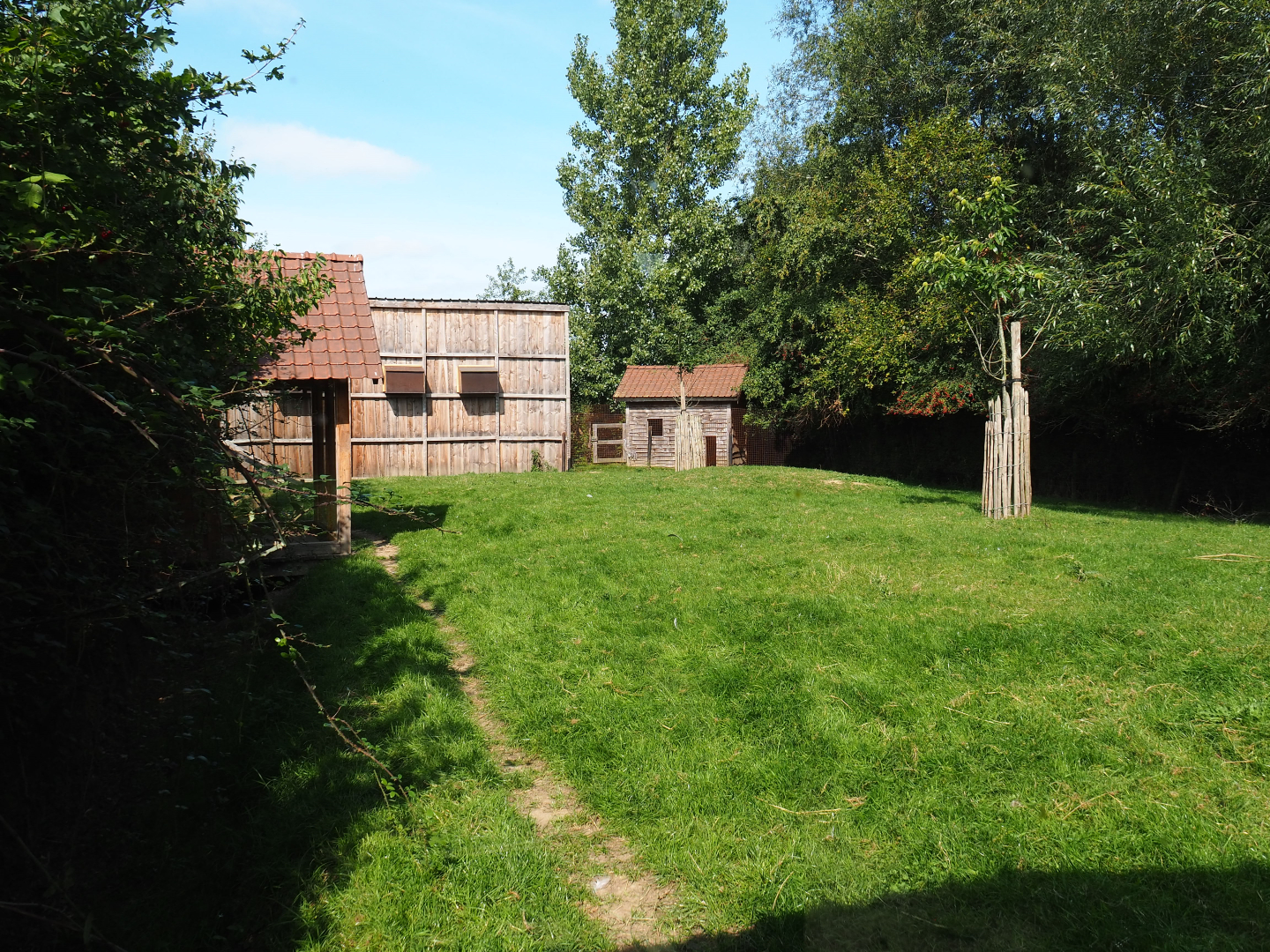 Domestic reindeer and Sandhill crane exhibit, 2020-09-12