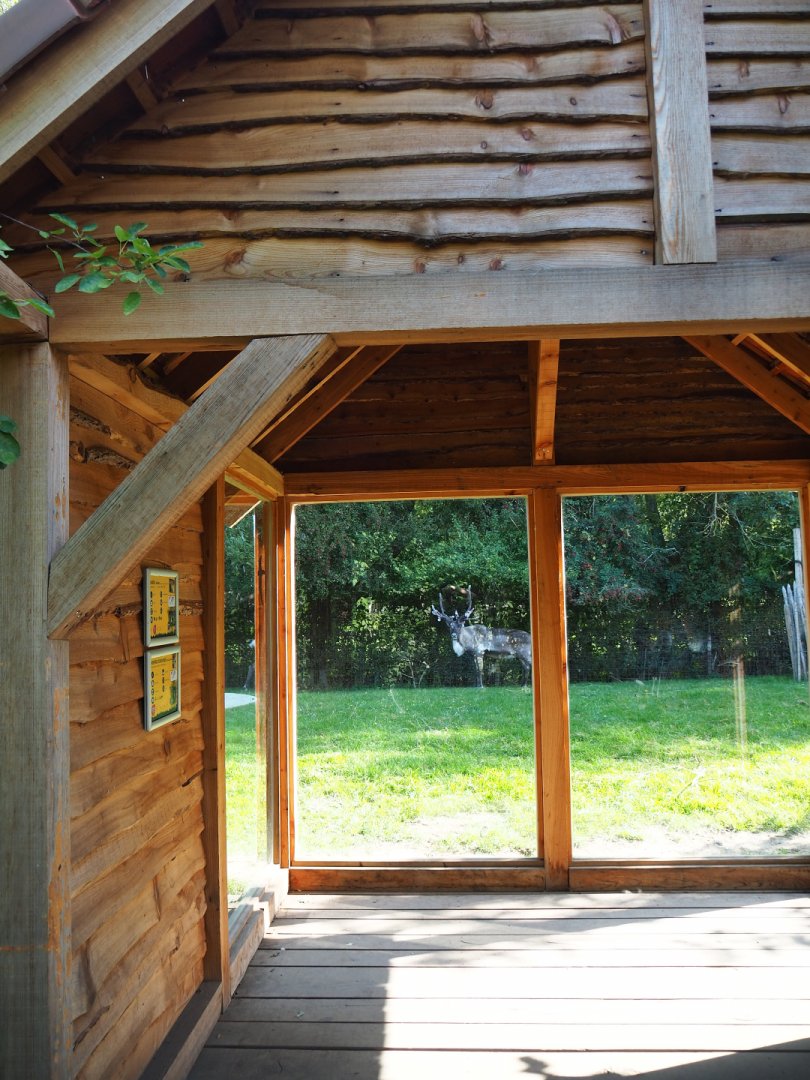 Domestic reindeer and Sandhill crane viewing shelter, 2020-09-12