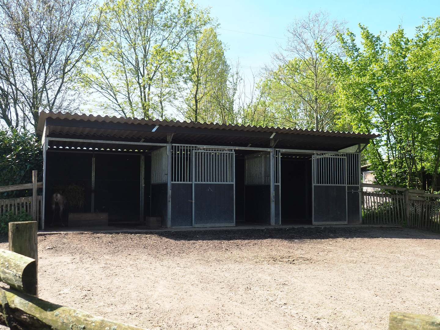 Domestic reindeer barn, 2023-04-30