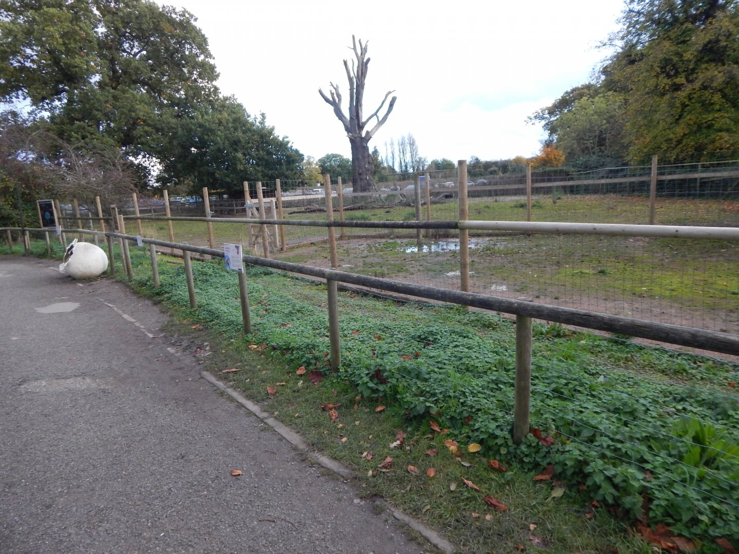 Domestic reindeer enclosure 051123