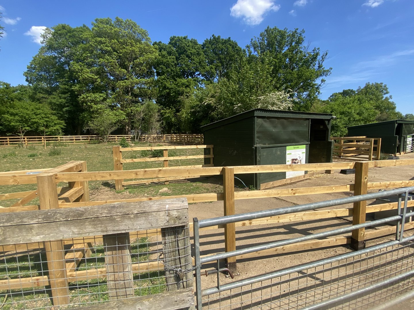 Domestic reindeer enclosure 090525
