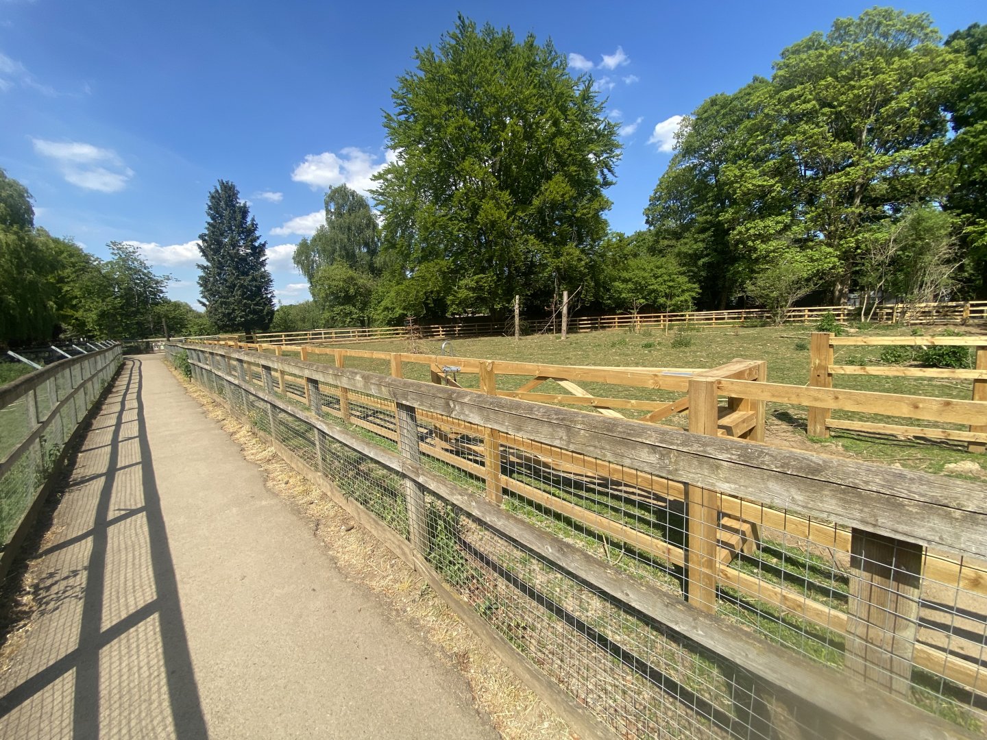 Domestic reindeer enclosure 090525