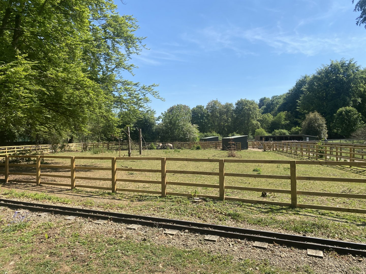 Domestic reindeer enclosure 090525