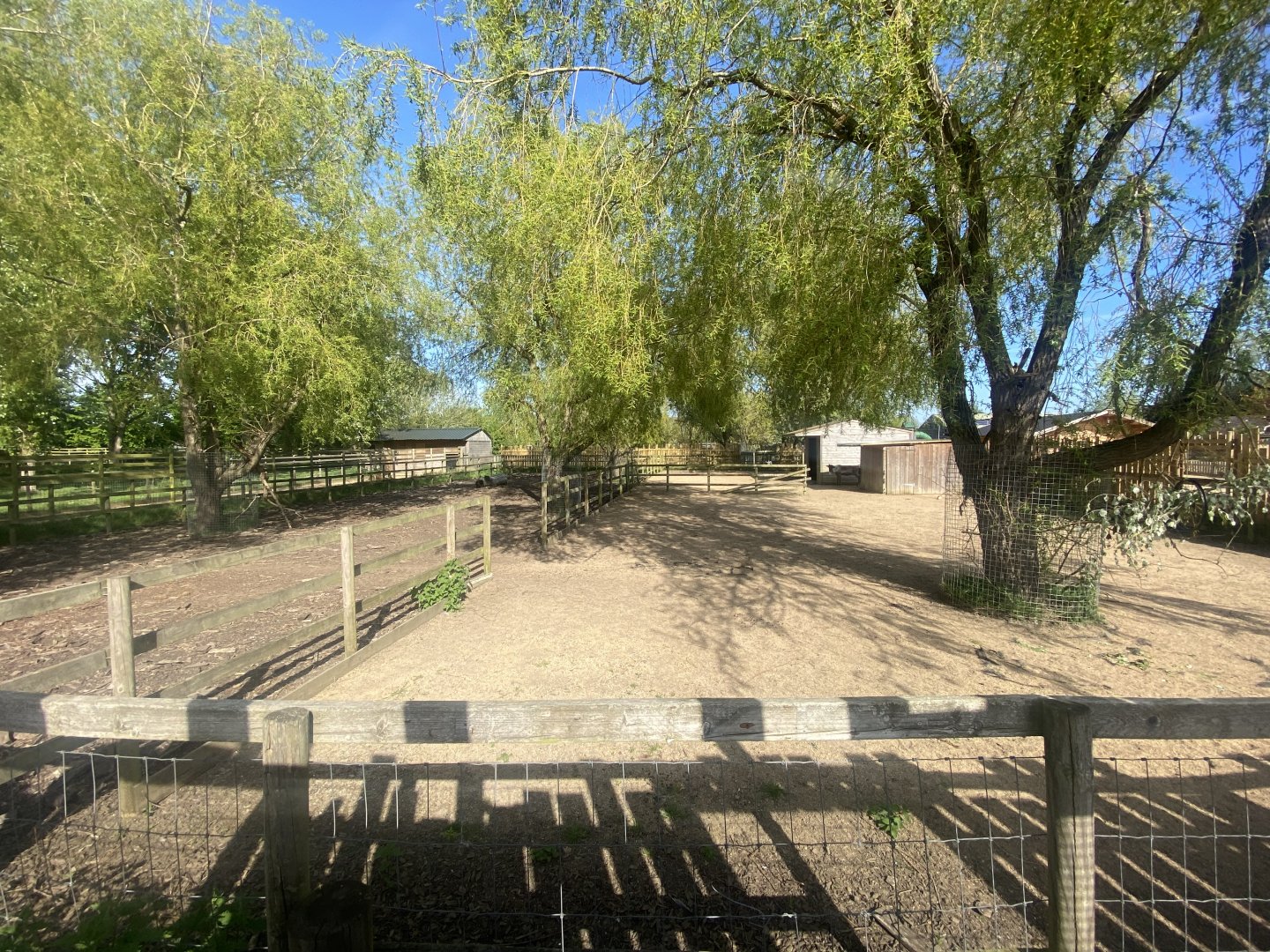 Domestic reindeer enclosure 280425