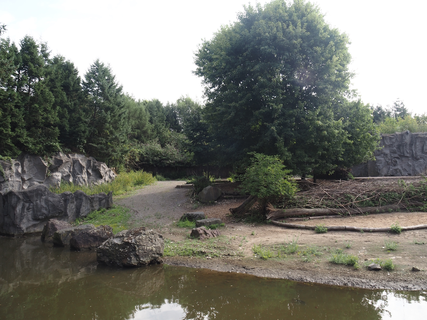 Domestic reindeer exhibit, 2024-08-05