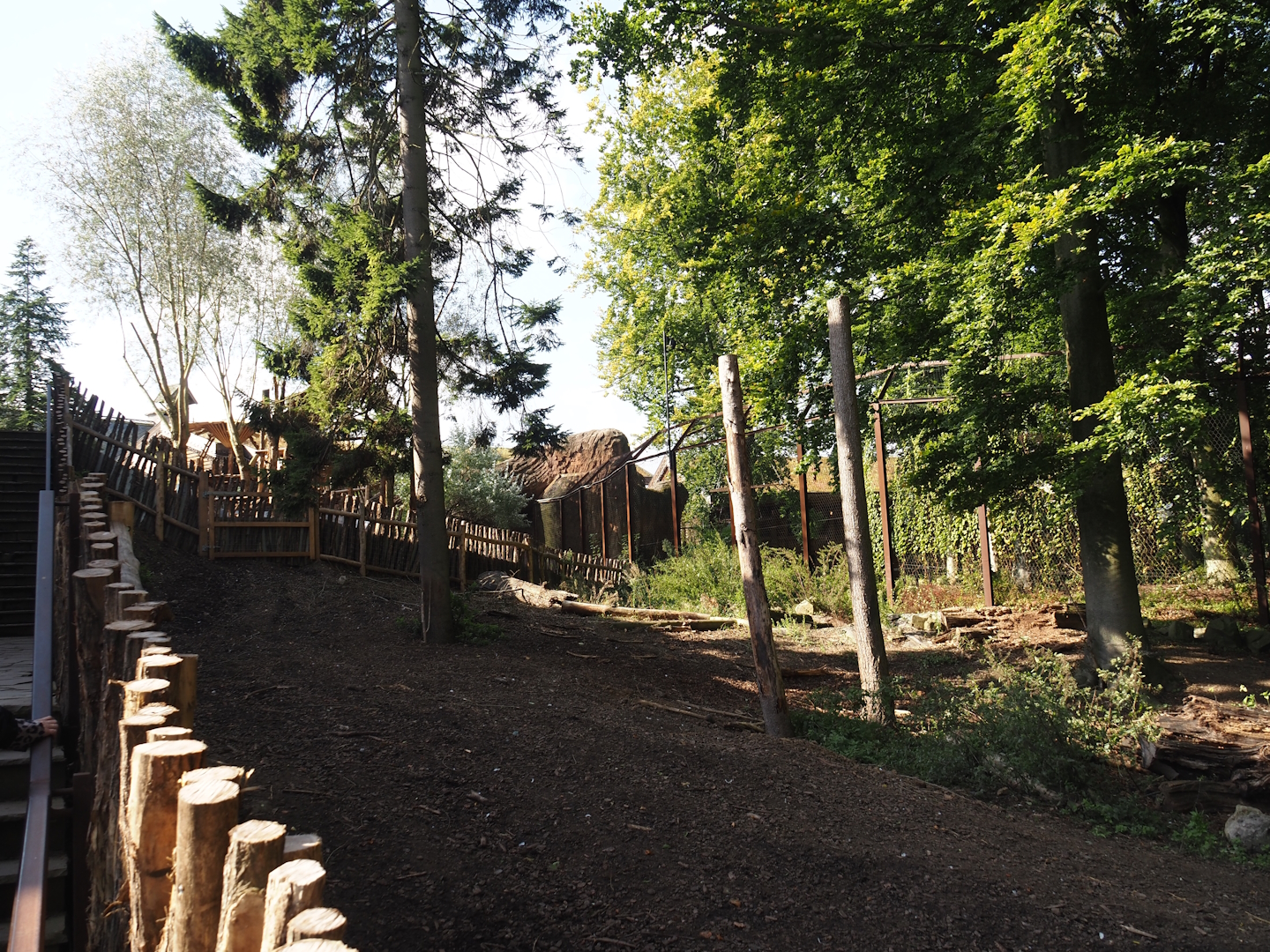 Domestic reindeer exhibit, 2024-09-17