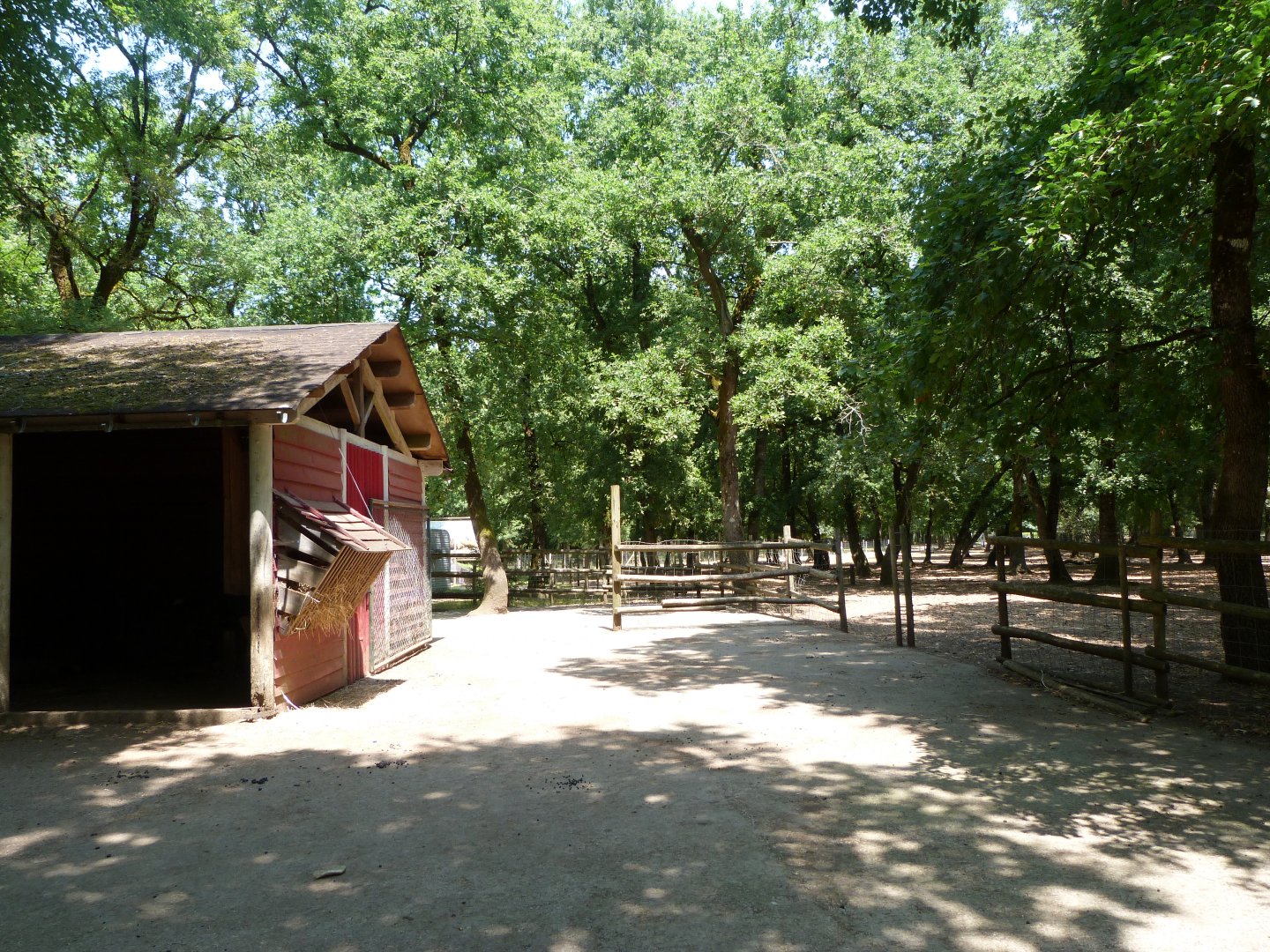 Domestic reindeer exhibit -Zoodyssée (2025)