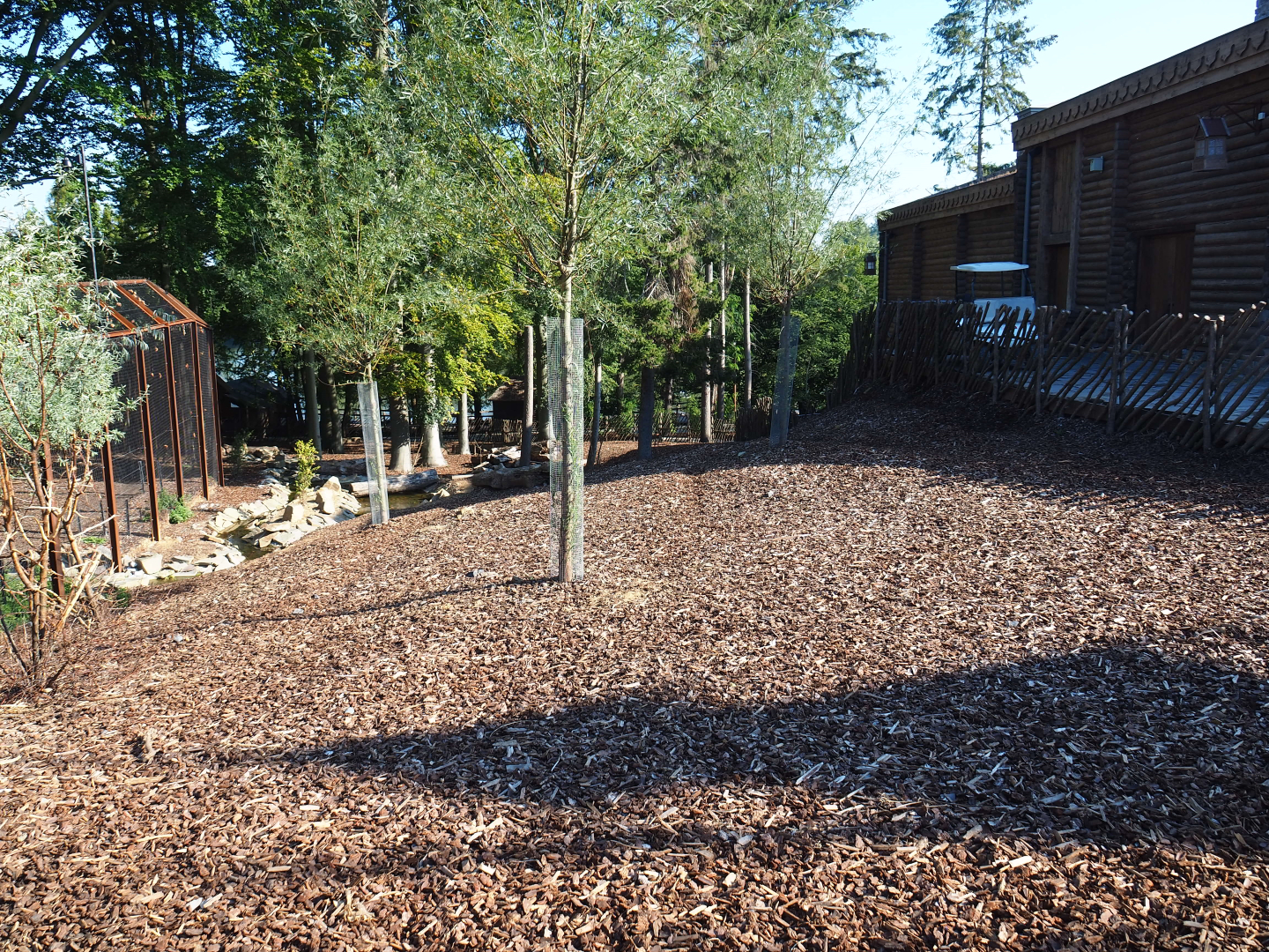 Domestic reindeer paddock, 2020-09-02