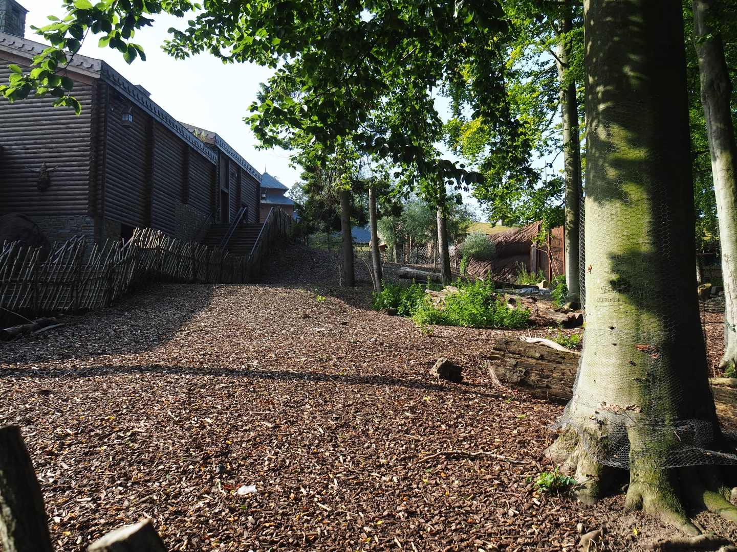 Domestic reindeer paddock, 2021-09-02