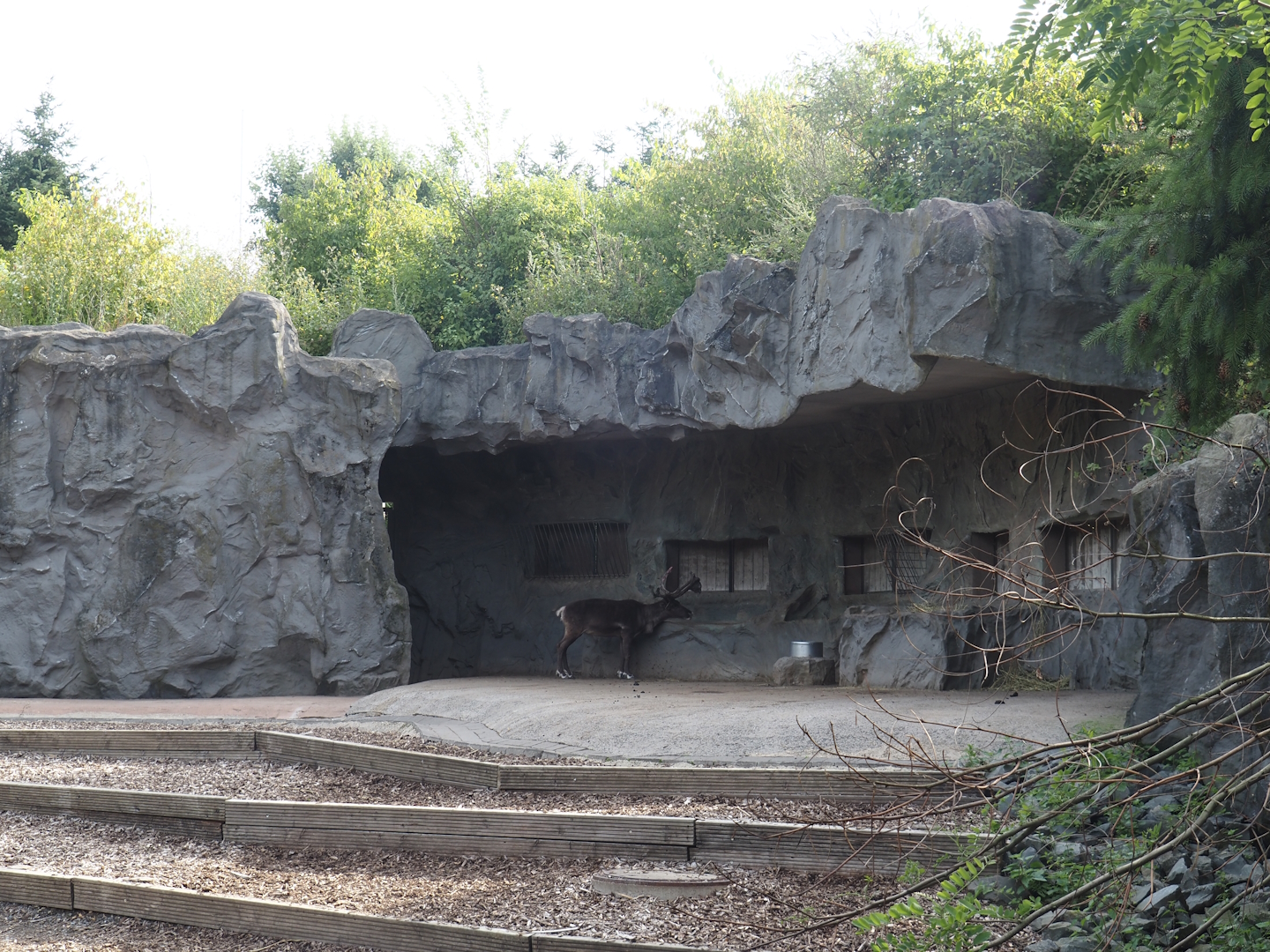 Domestic reindeer shelter and feeding area, 2024-08-05