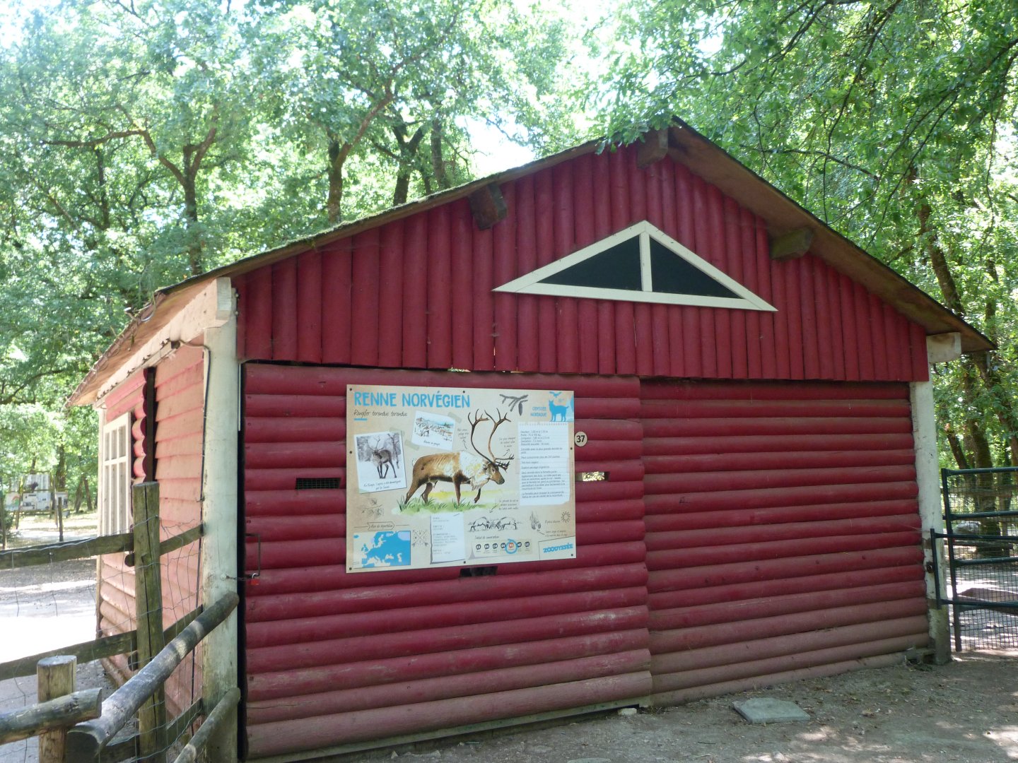 Domestic reindeer stable -Zoodyssée (2025)