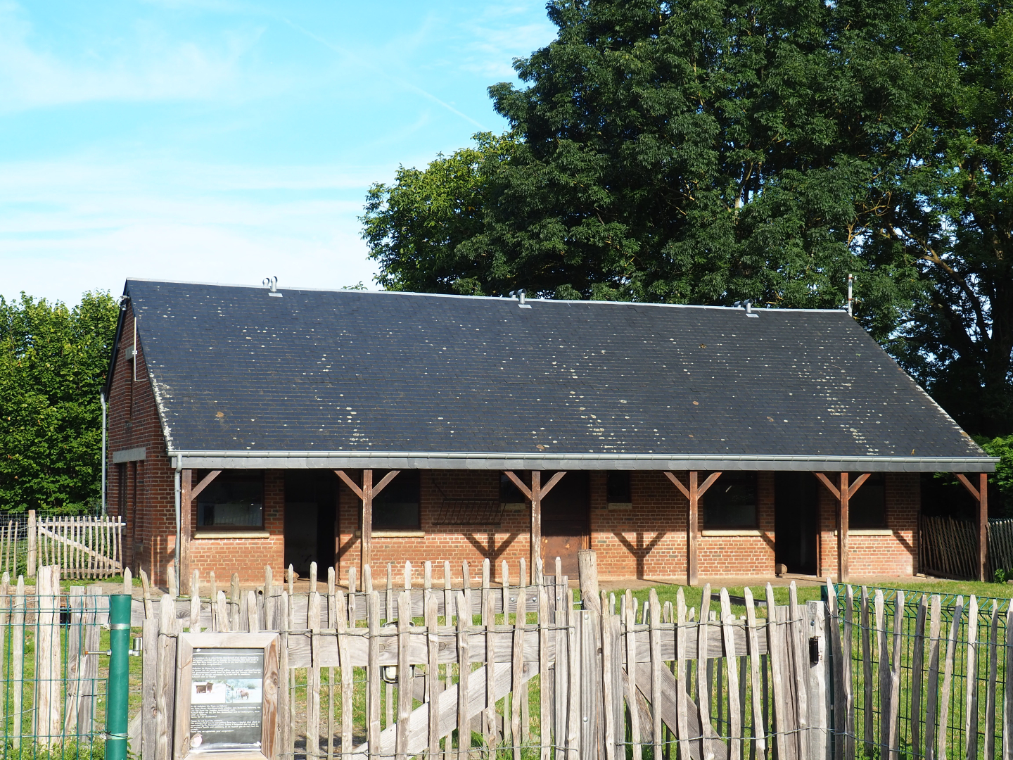 Domestic sheep and Domestic goat stable, 2021-08-15