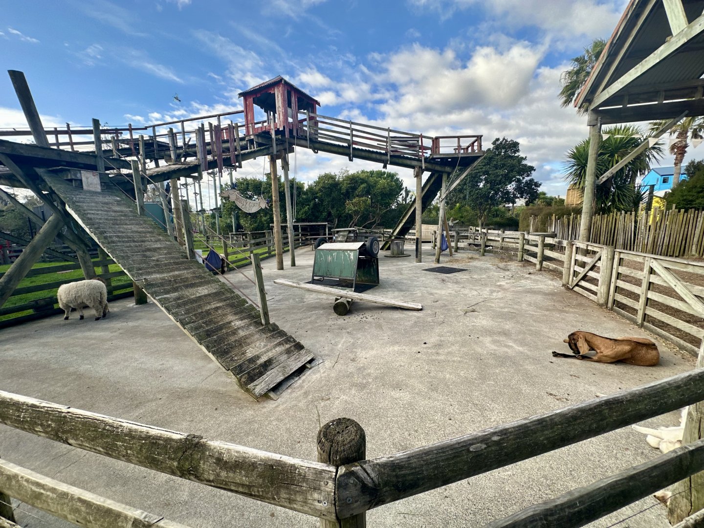 Domestic Sheep/Domestic Goat Exhibit